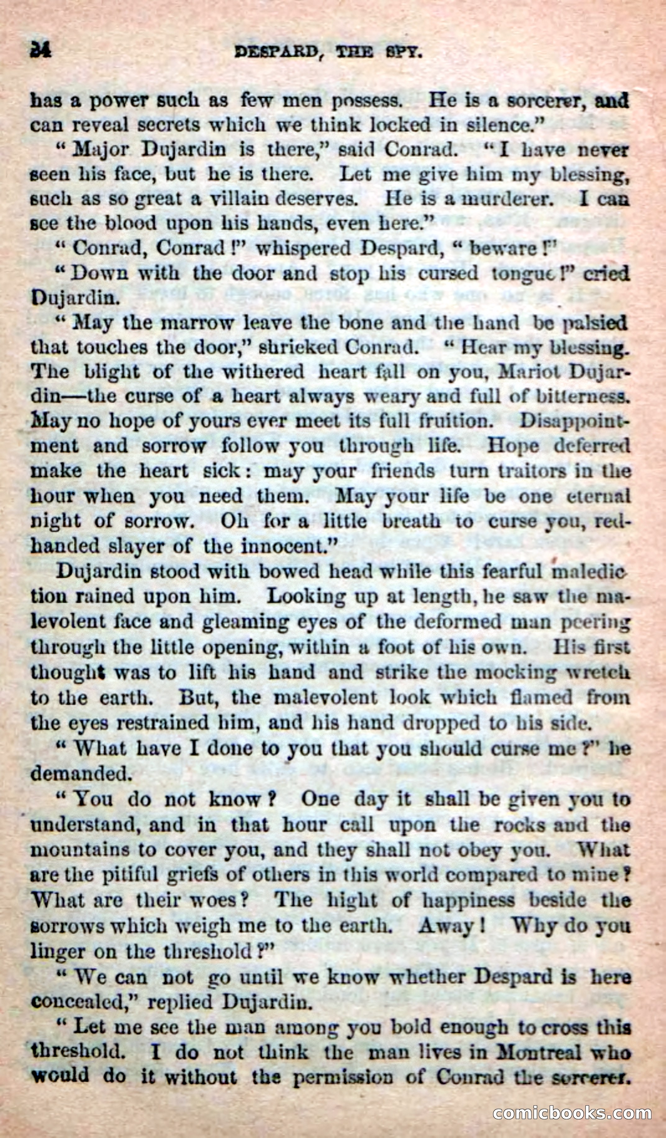 The French Spy — page 20 of 100