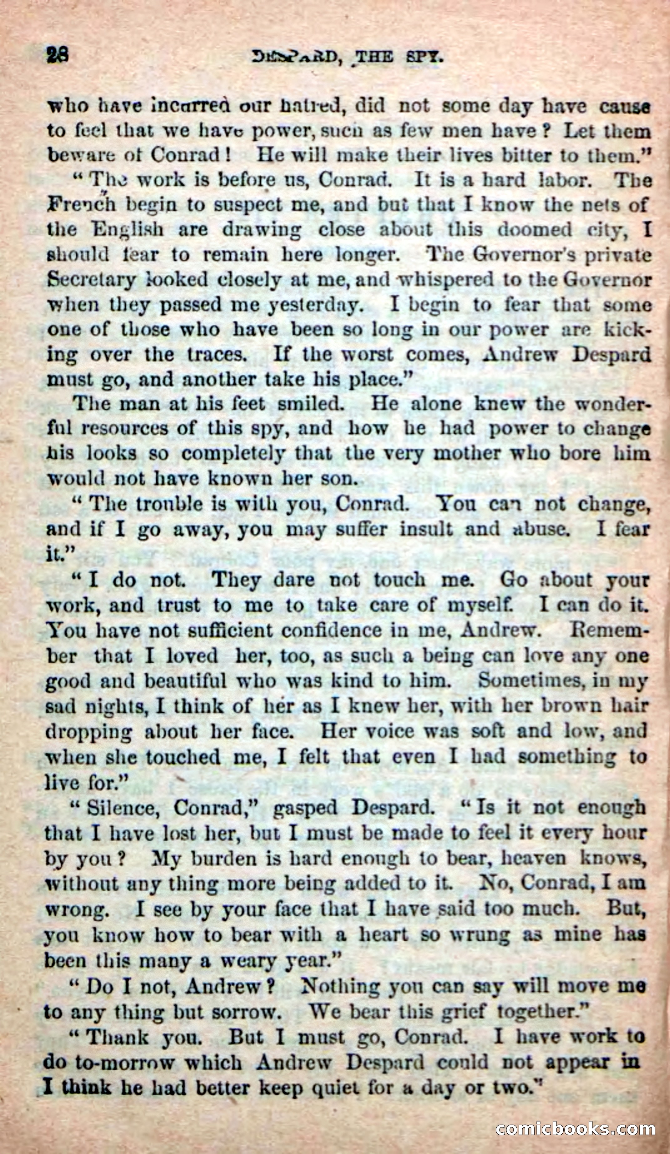 The French Spy — page 24 of 100