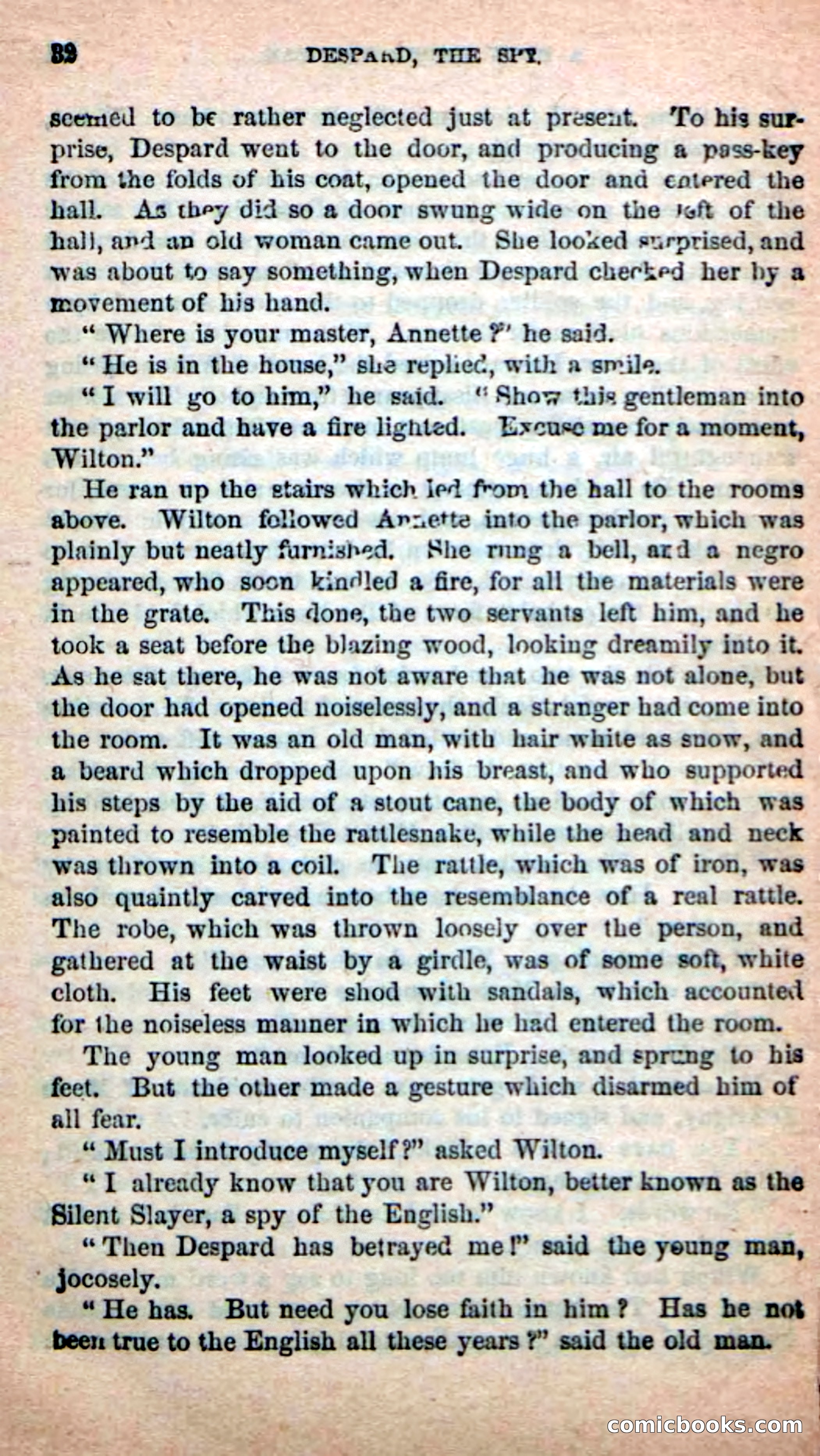 The French Spy — page 28 of 100