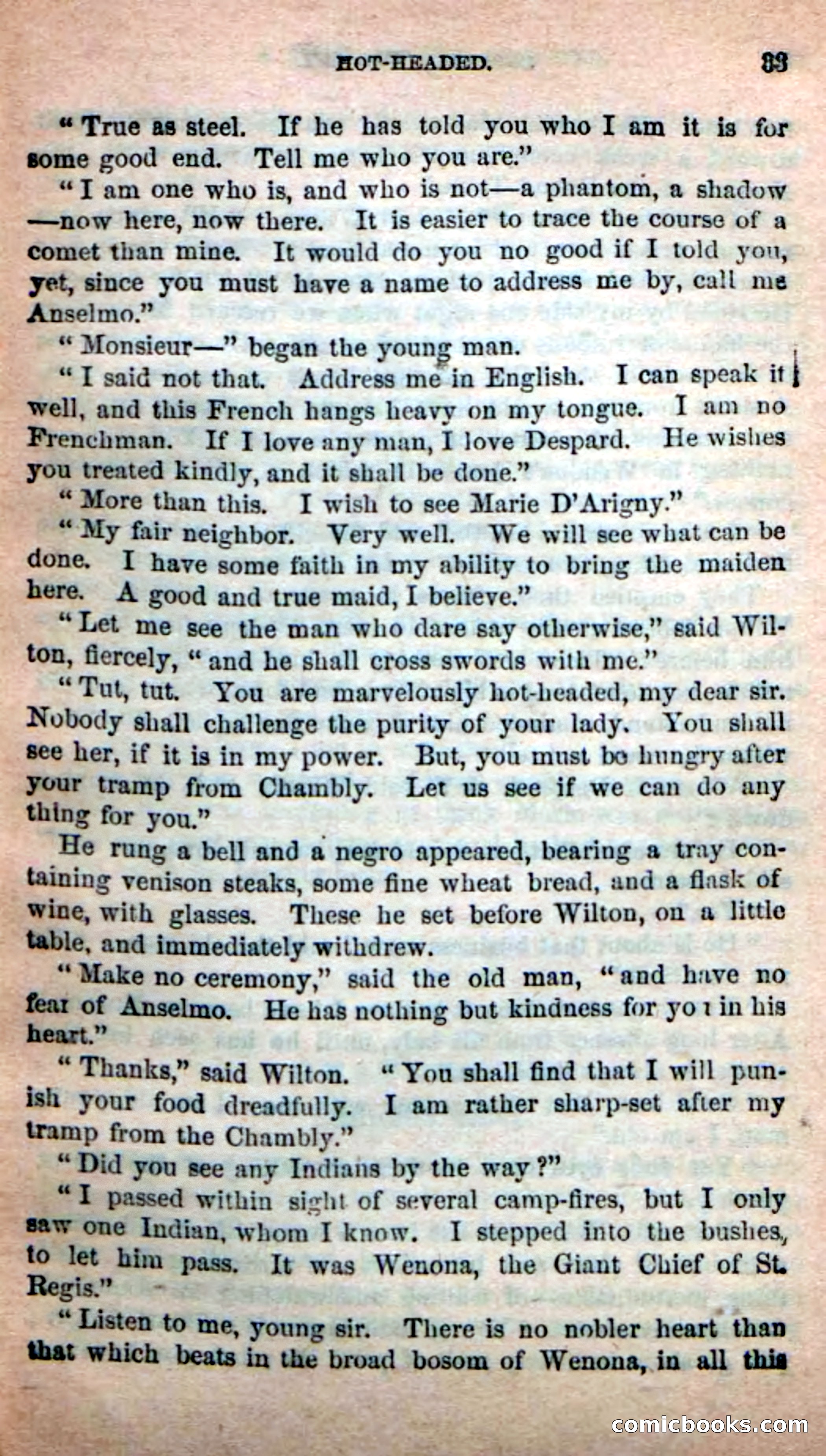The French Spy — page 29 of 100