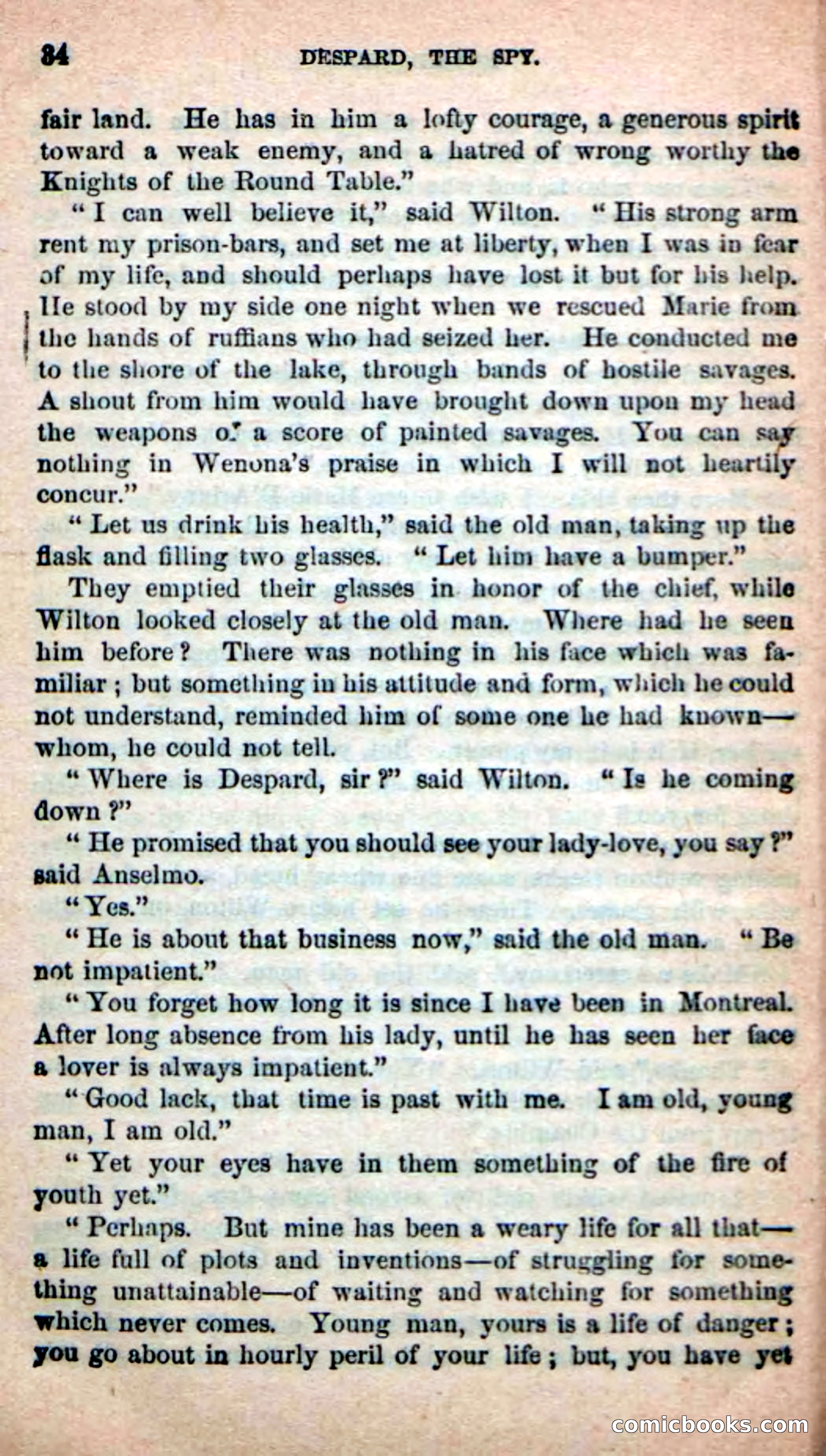 The French Spy — page 30 of 100