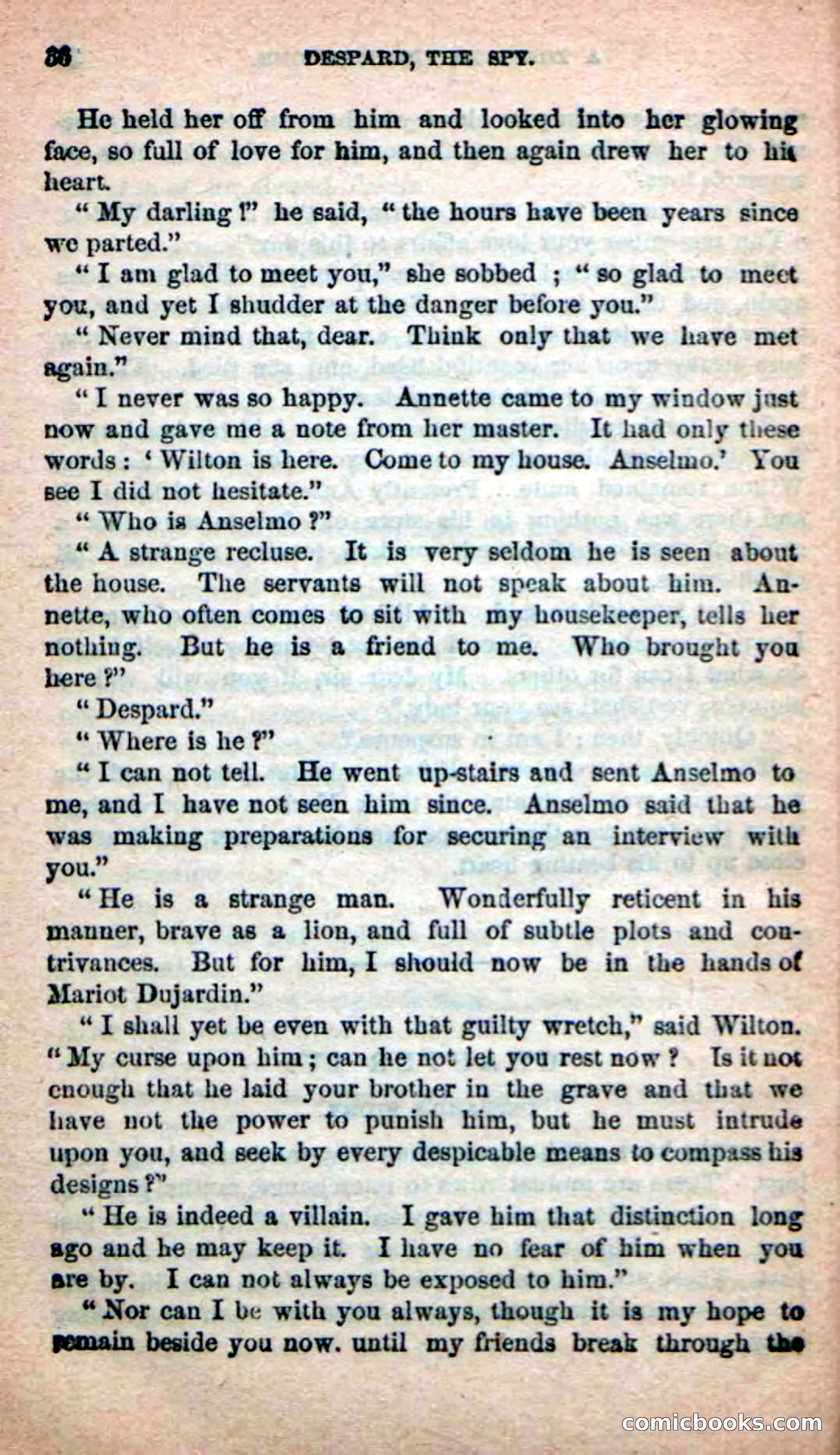 The French Spy — page 32 of 100