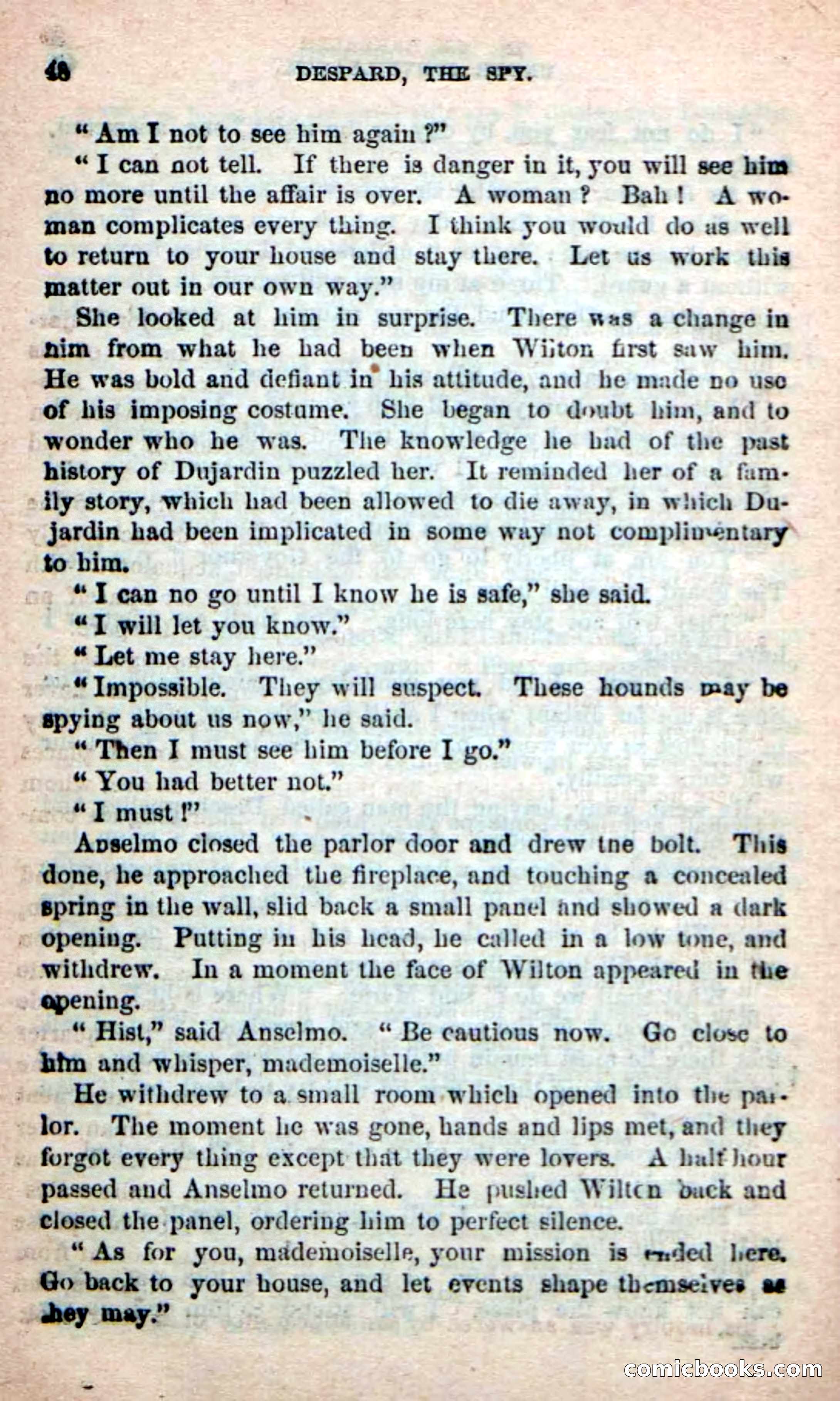 The French Spy — page 44 of 100