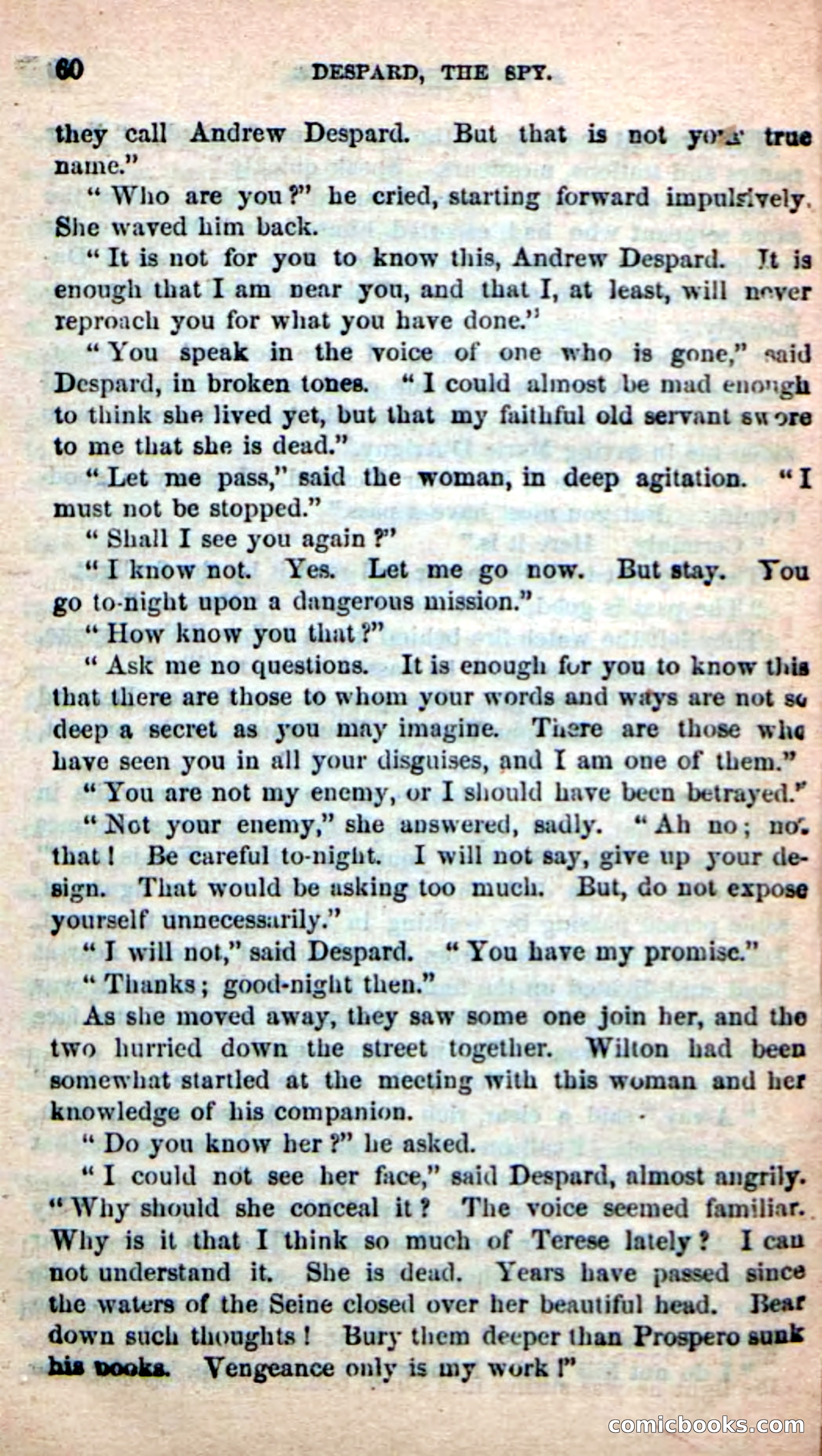 The French Spy — page 56 of 100