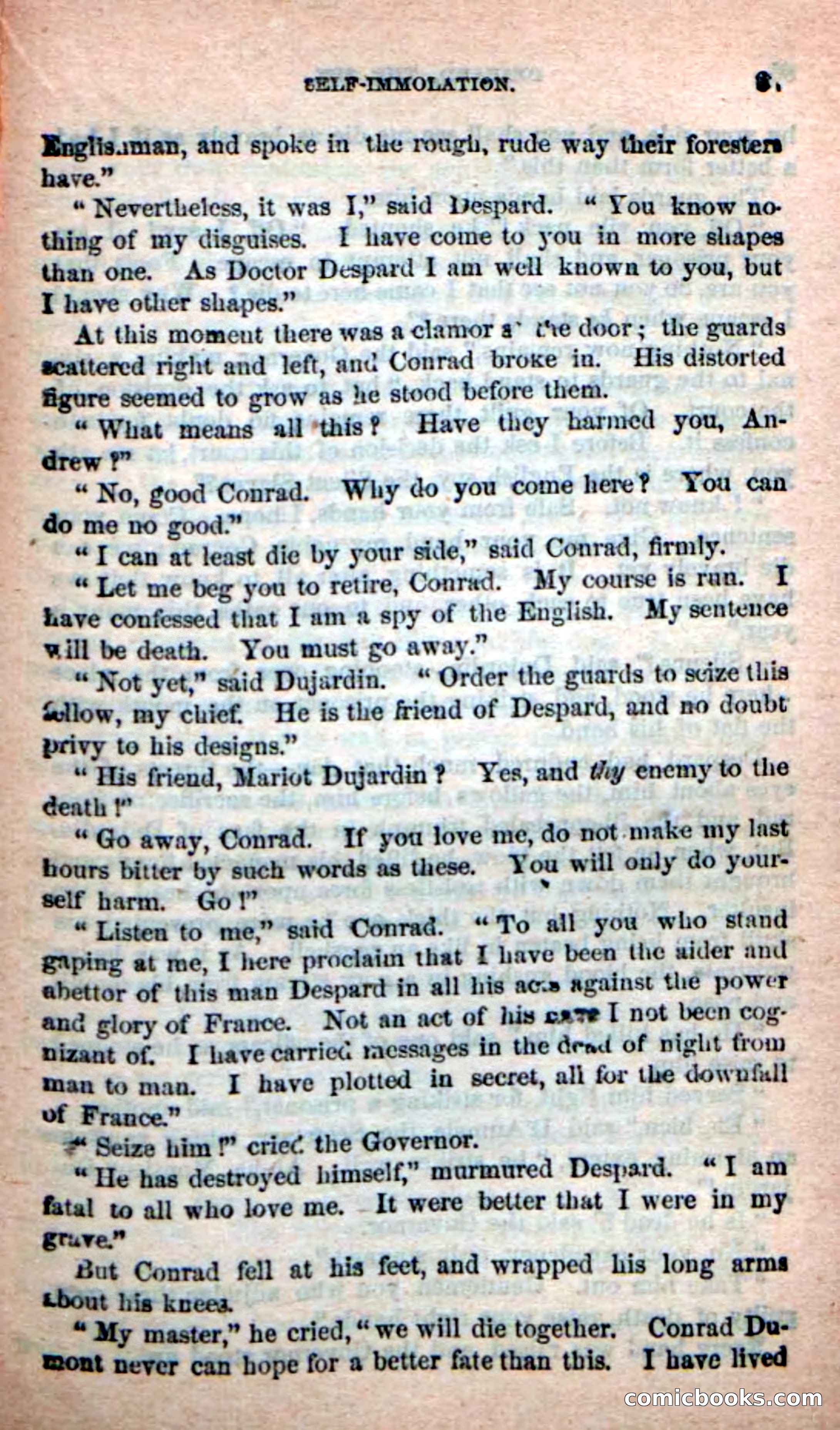 The French Spy — page 81 of 100