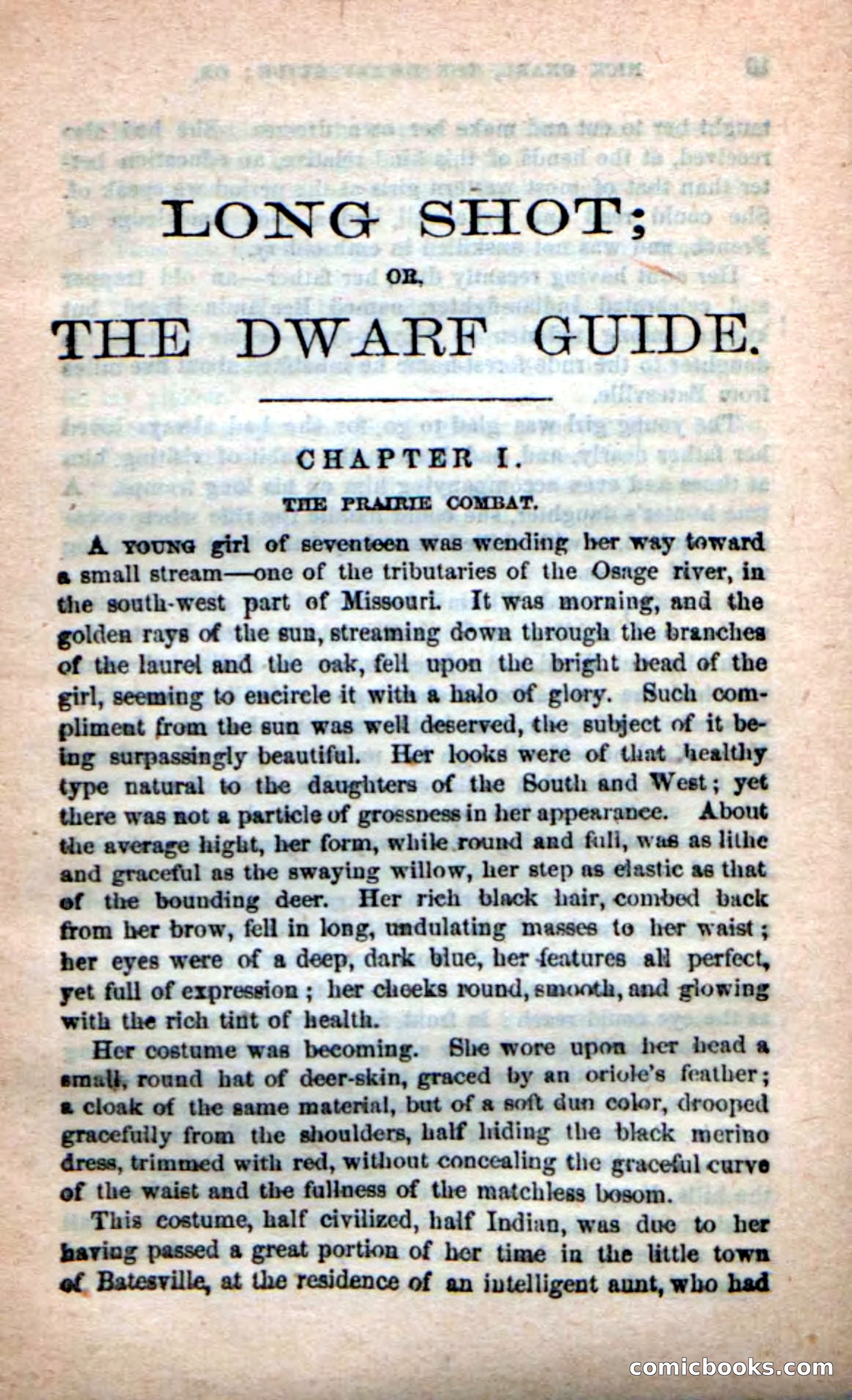Beadle's Dime Novels: Long Shot — page 5 of 100