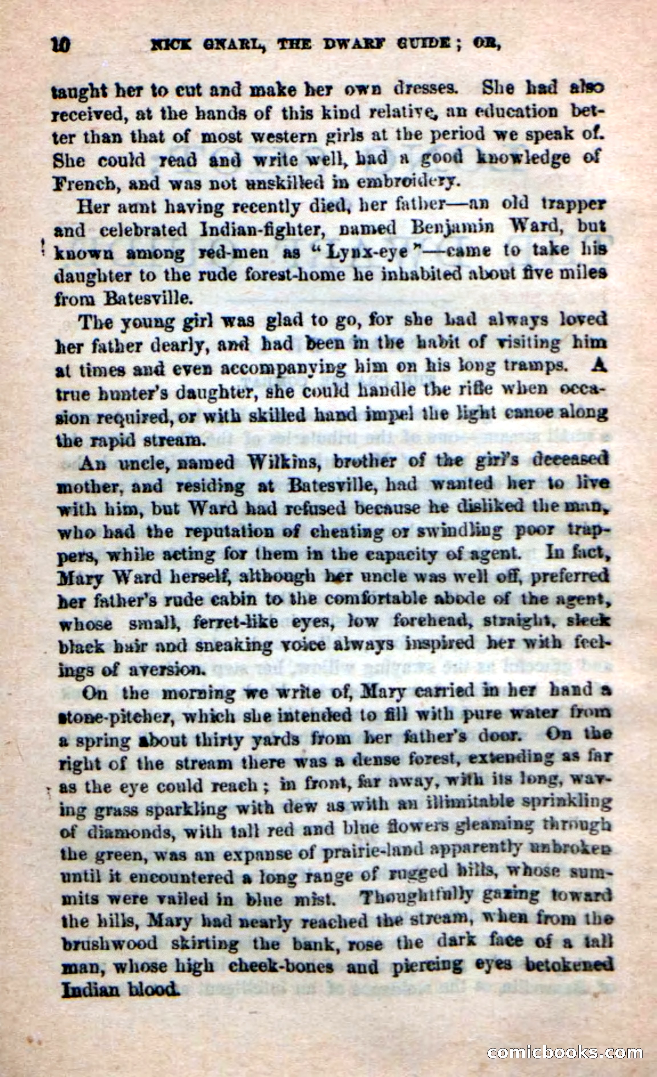 Beadle's Dime Novels: Long Shot — page 6 of 100