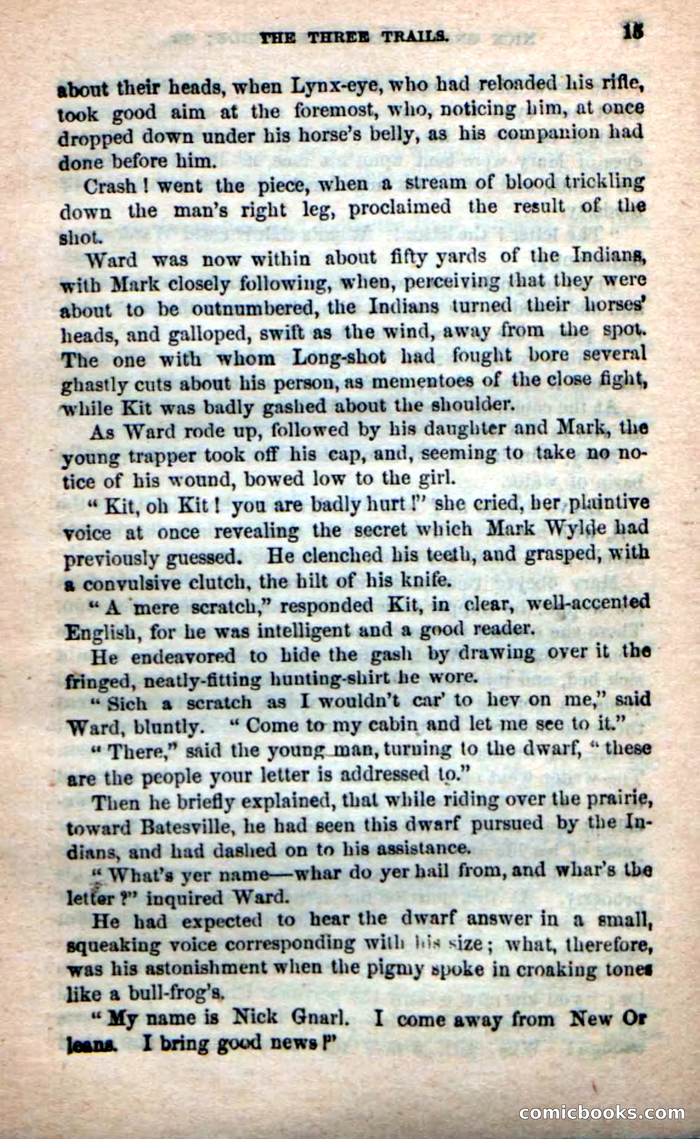 Beadle's Dime Novels: Long Shot — page 11 of 100