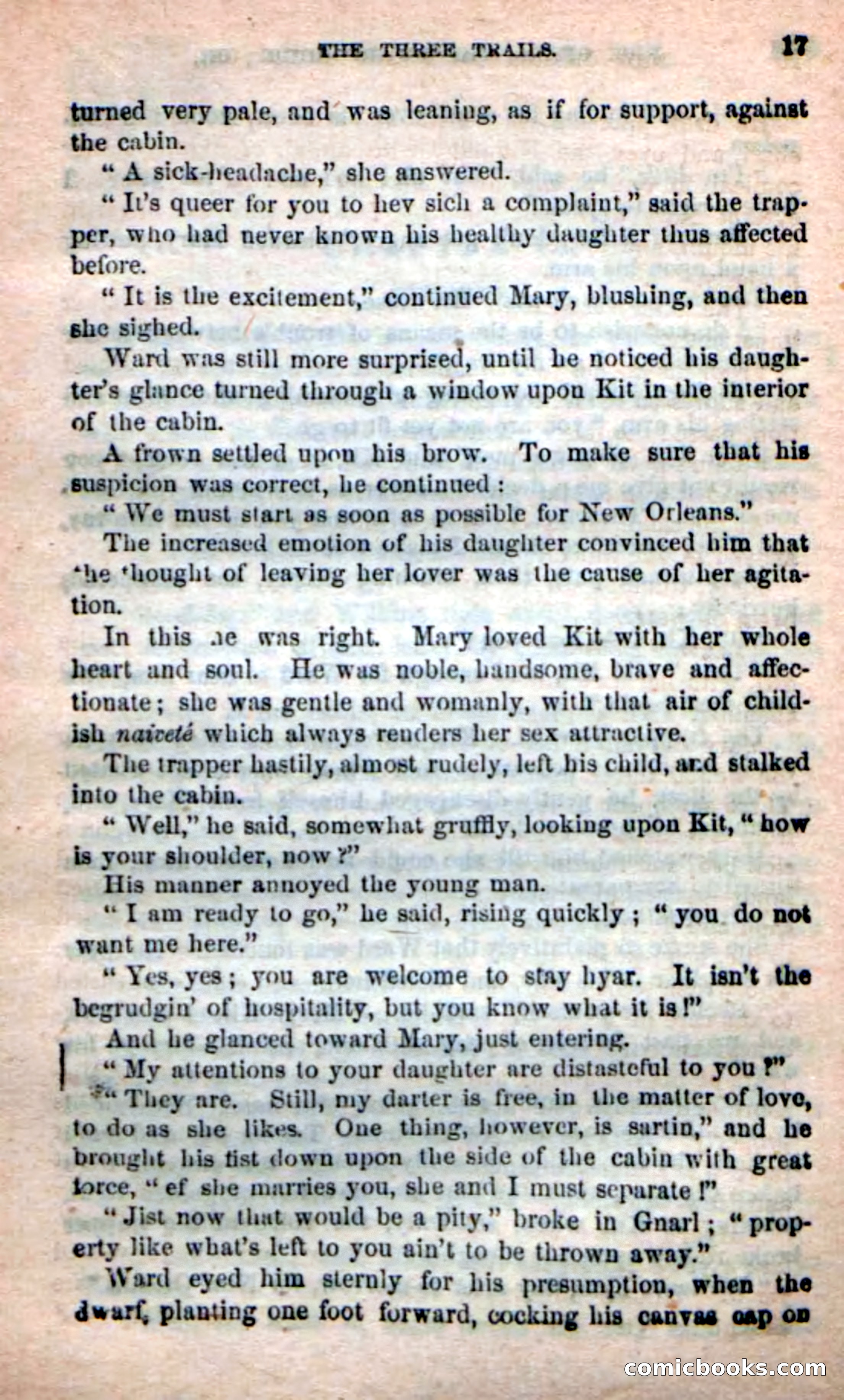 Beadle's Dime Novels: Long Shot — page 13 of 100