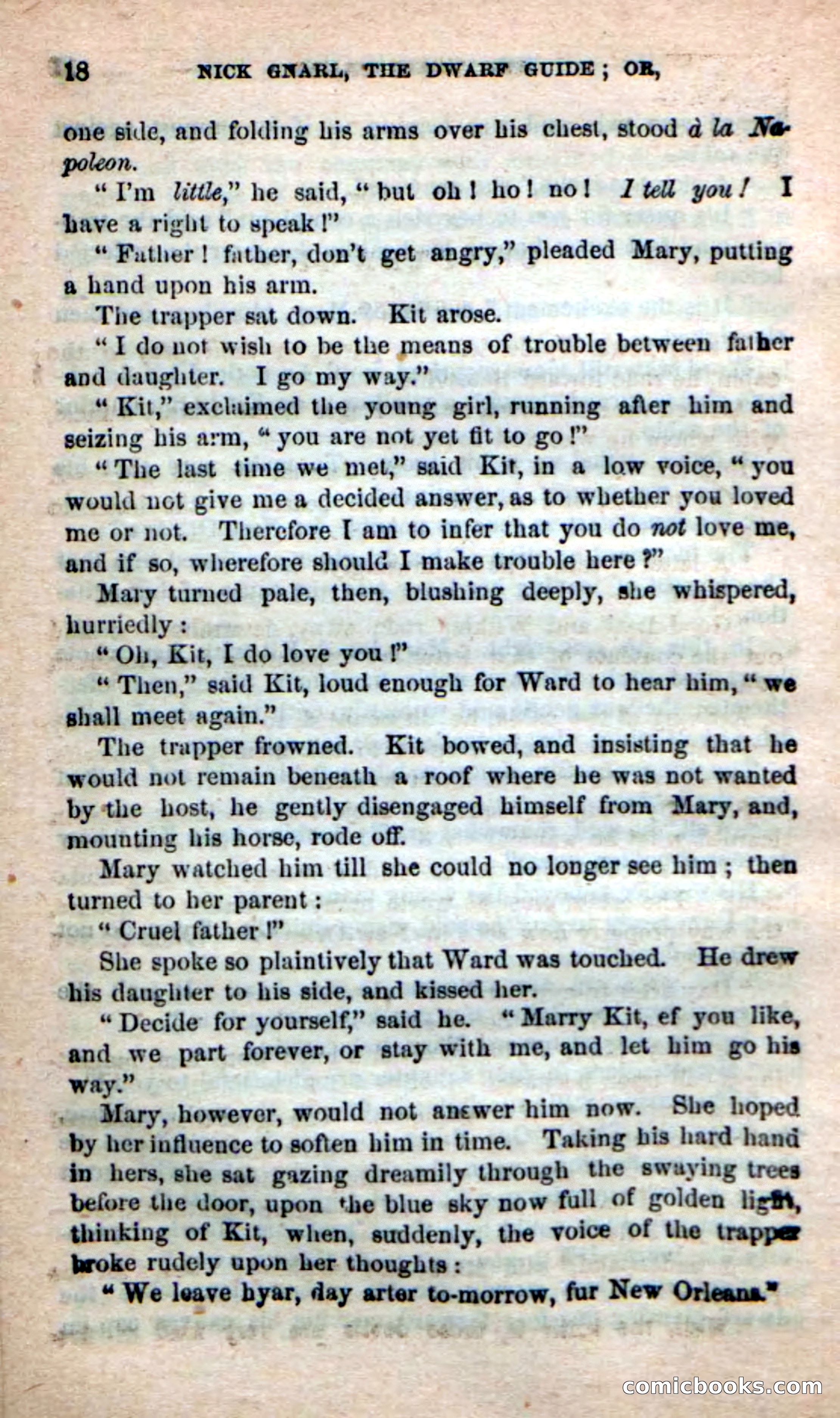Beadle's Dime Novels: Long Shot — page 14 of 100