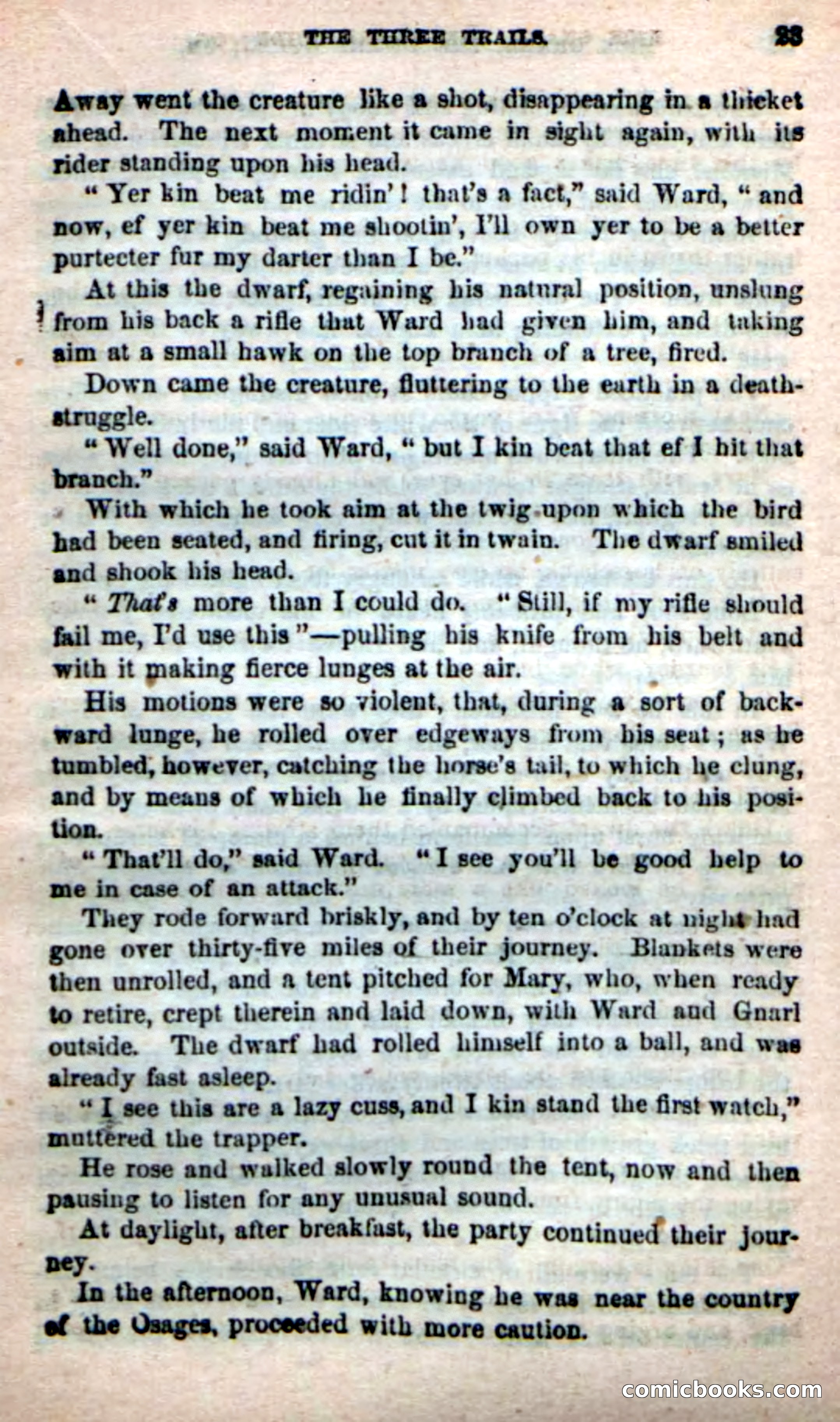 Beadle's Dime Novels: Long Shot — page 19 of 100