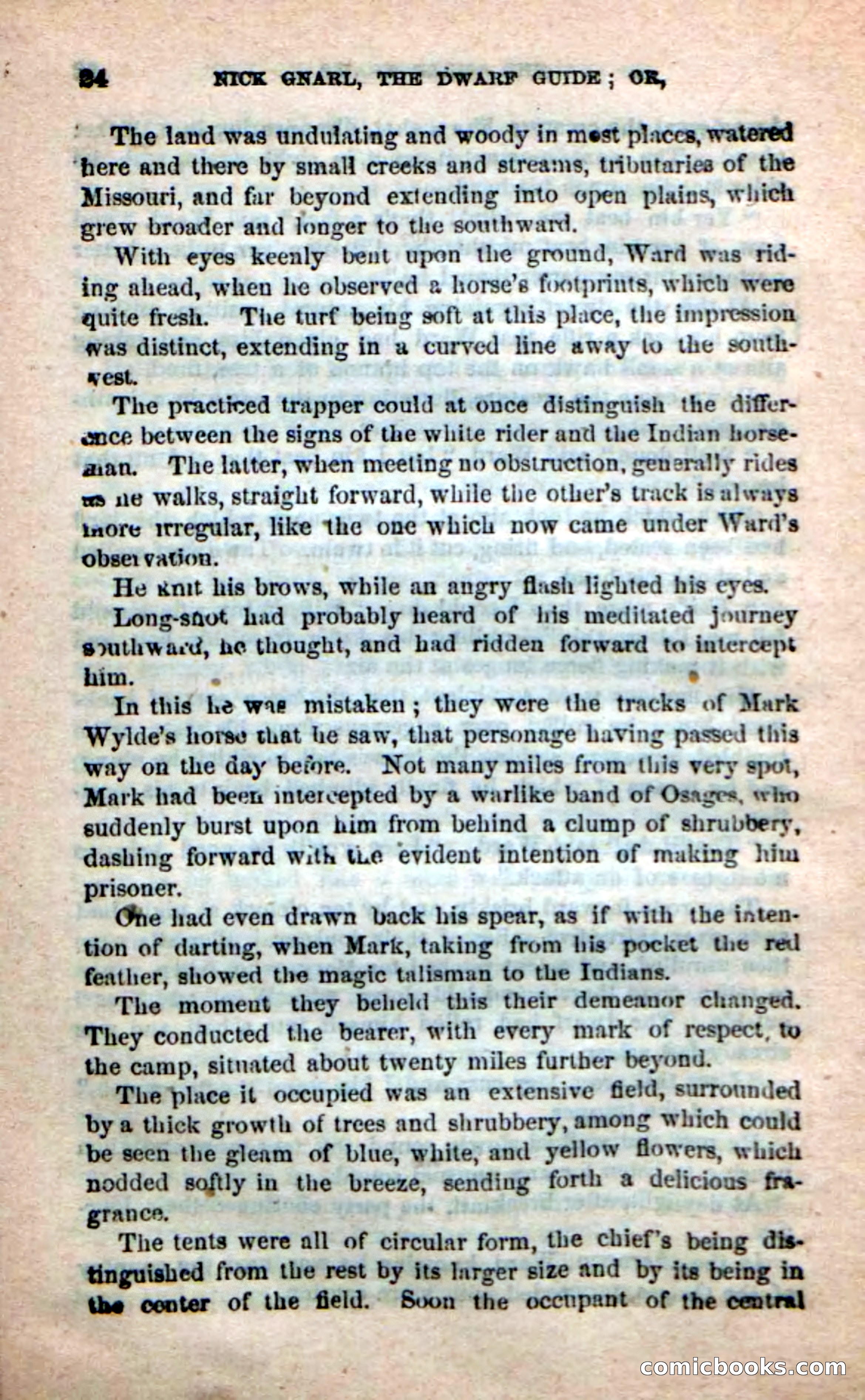 Beadle's Dime Novels: Long Shot — page 20 of 100