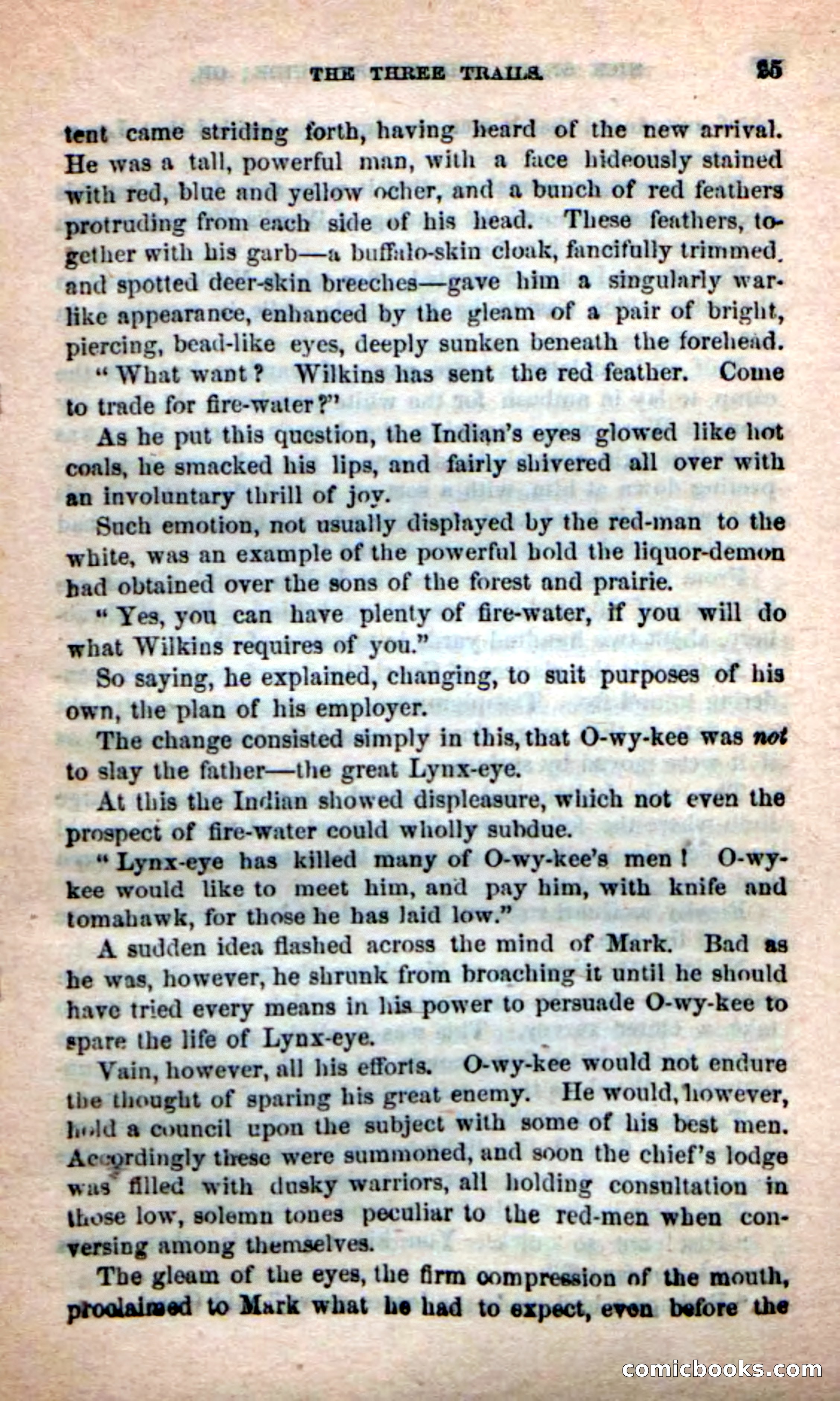 Beadle's Dime Novels: Long Shot — page 21 of 100