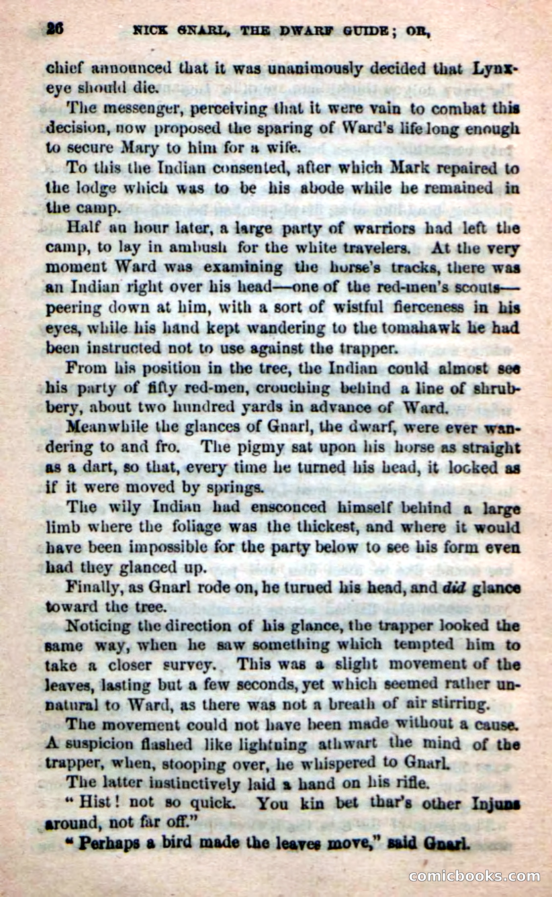 Beadle's Dime Novels: Long Shot — page 22 of 100
