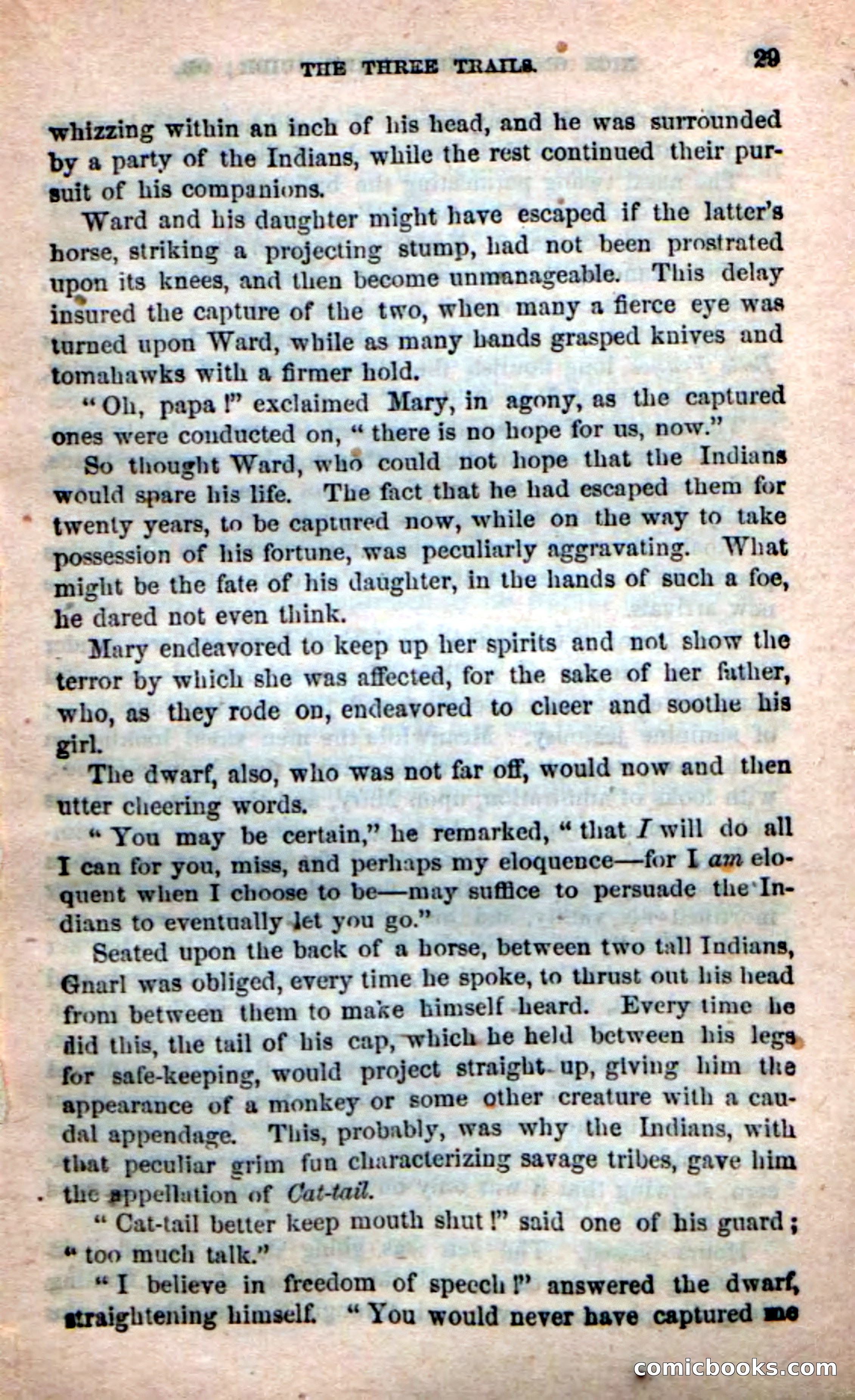Beadle's Dime Novels: Long Shot — page 25 of 100