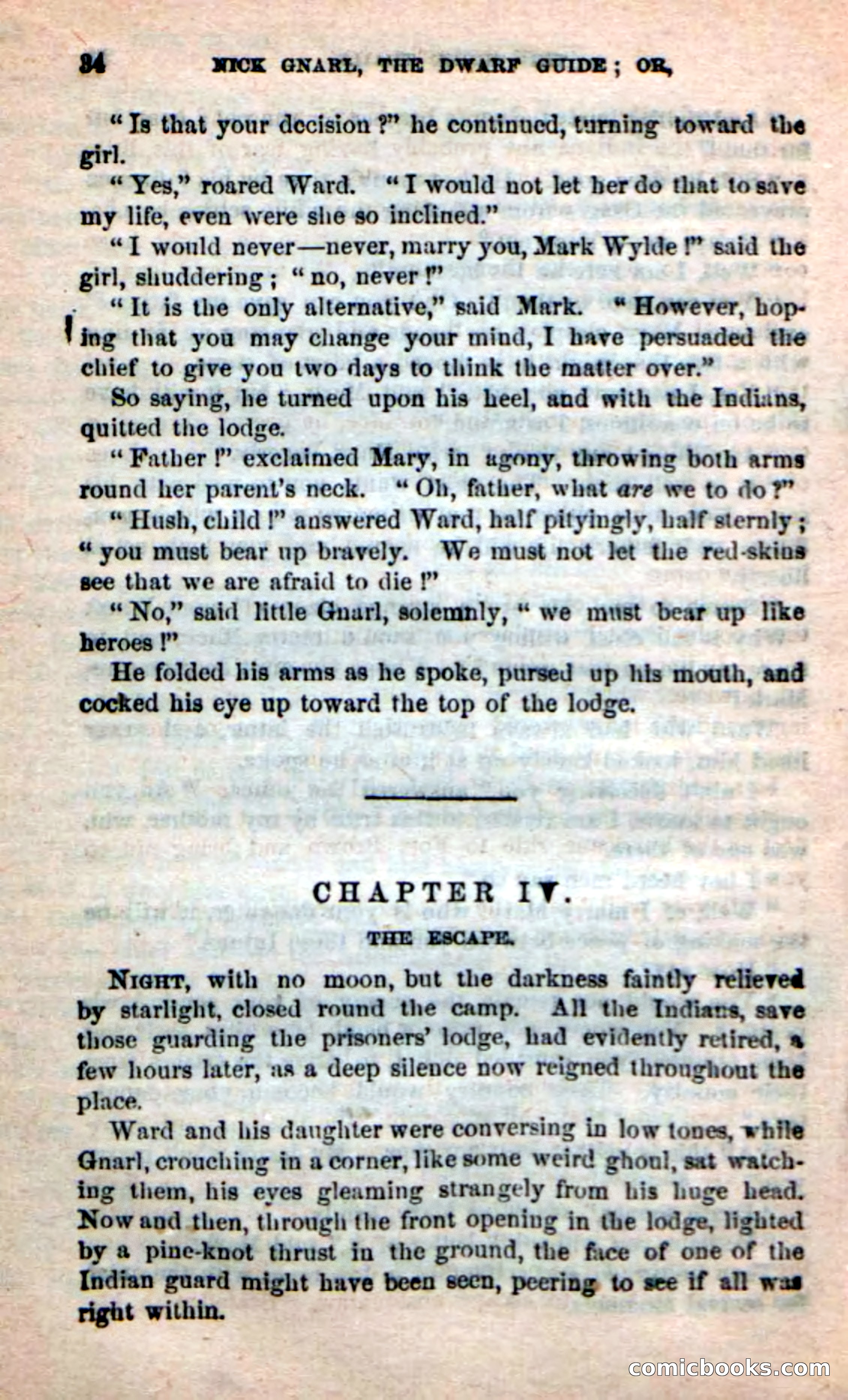 Beadle's Dime Novels: Long Shot — page 30 of 100
