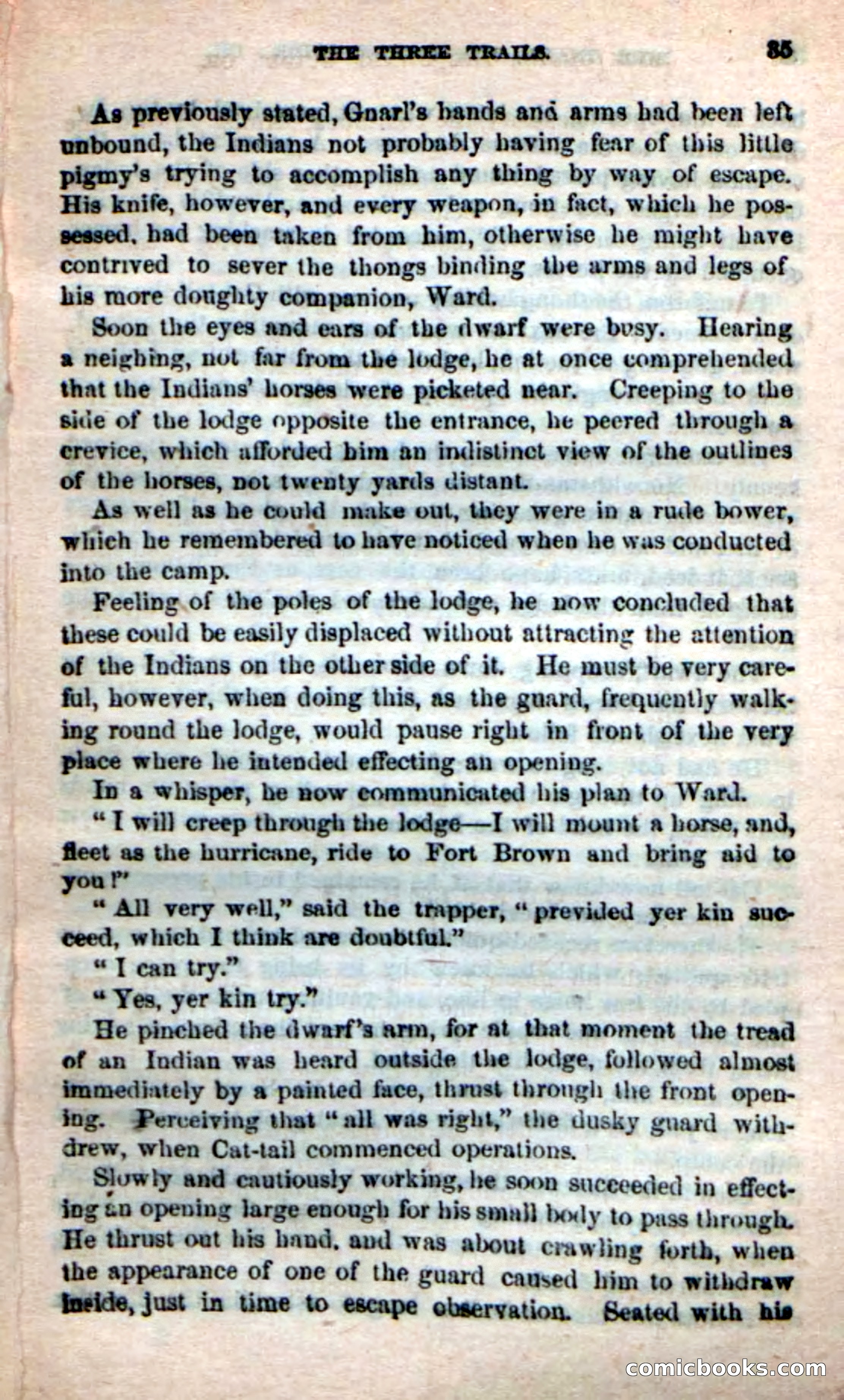 Beadle's Dime Novels: Long Shot — page 31 of 100