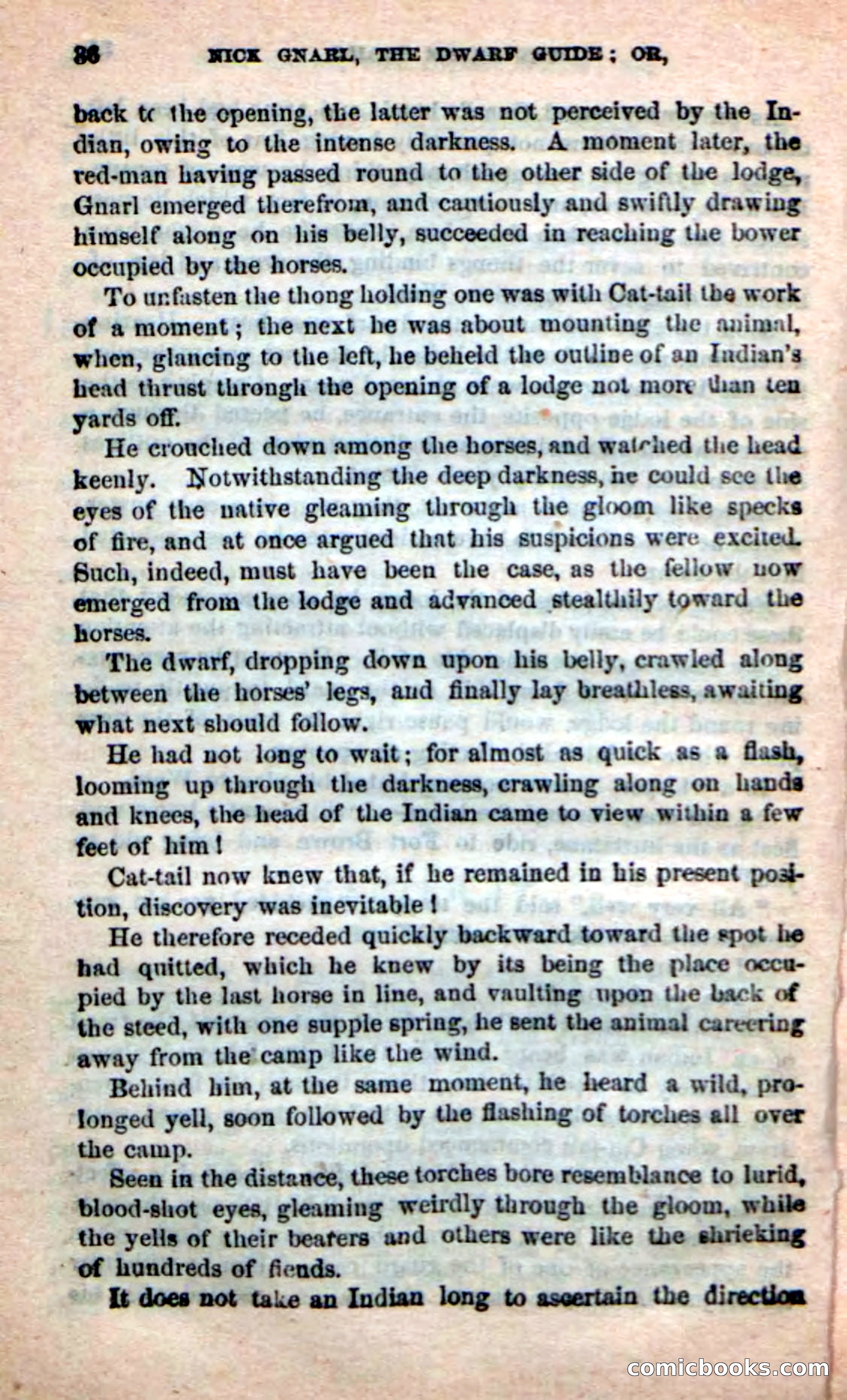 Beadle's Dime Novels: Long Shot — page 32 of 100
