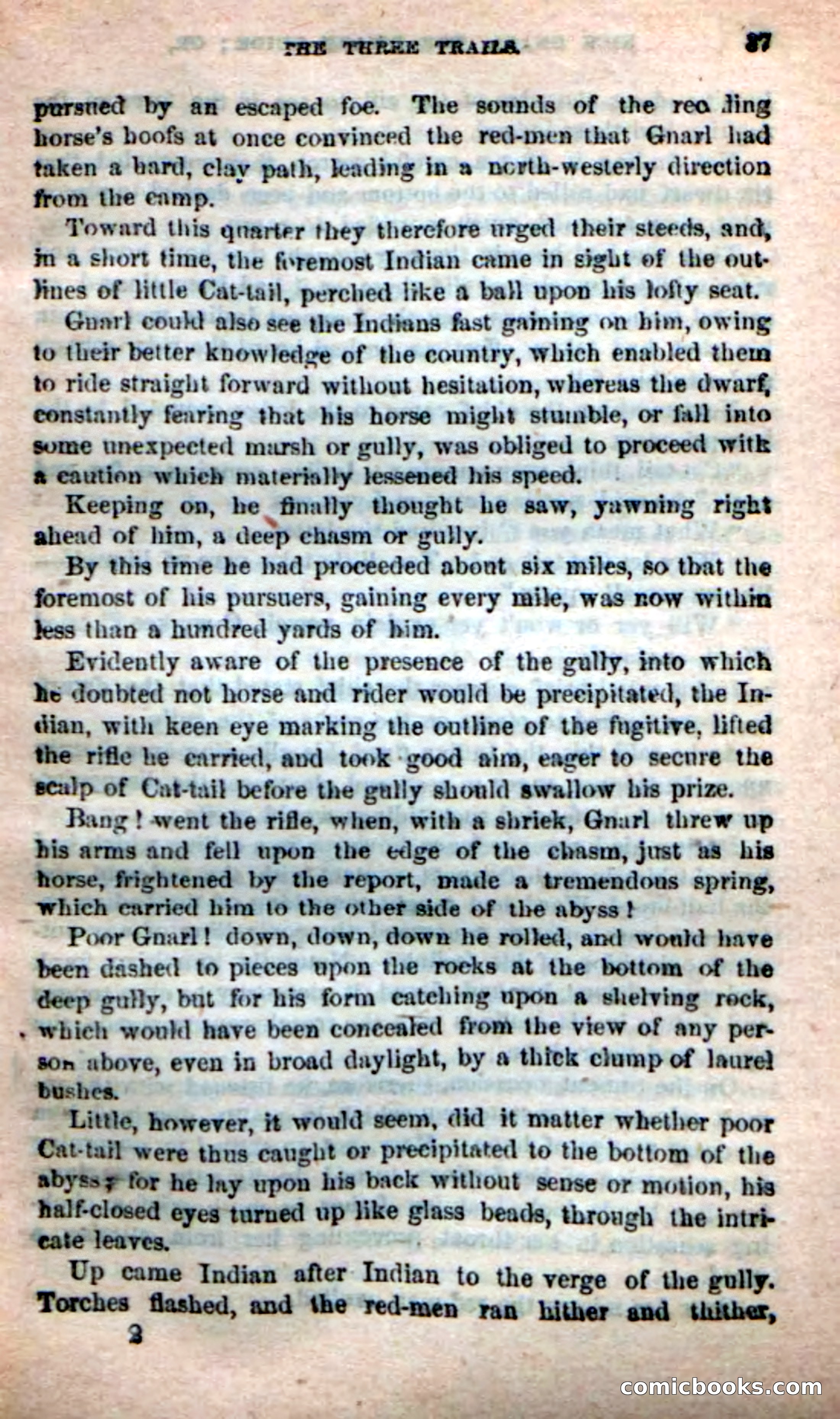 Beadle's Dime Novels: Long Shot — page 33 of 100