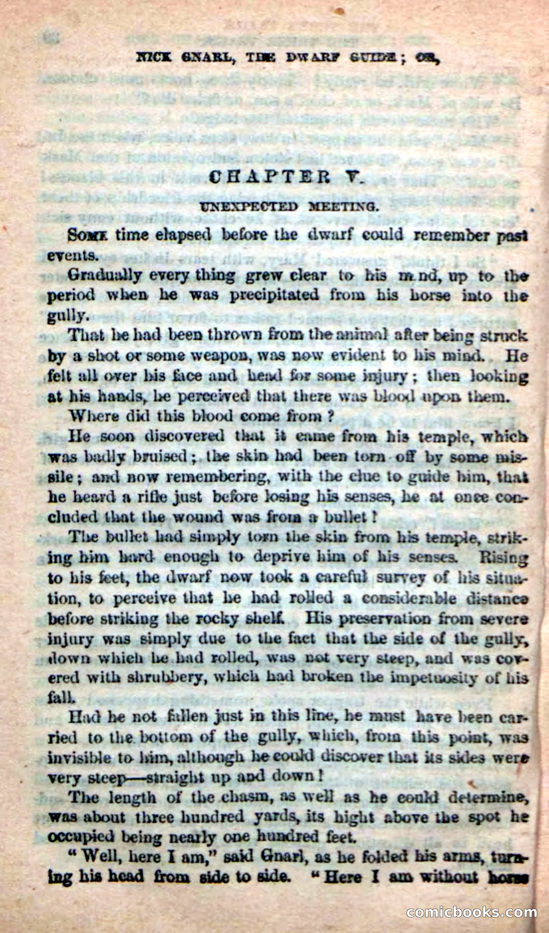 Beadle's Dime Novels: Long Shot — page 36 of 100