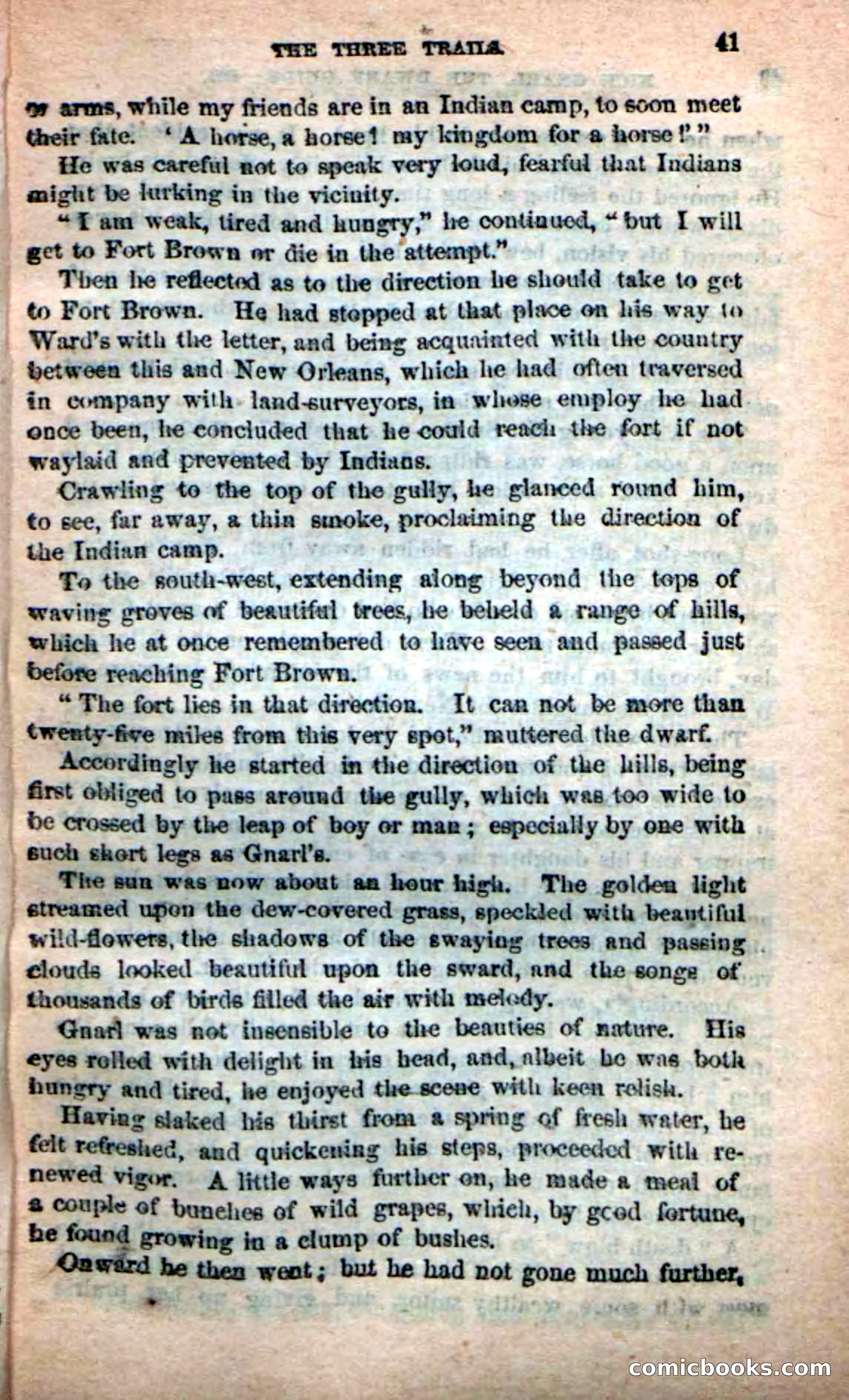 Beadle's Dime Novels: Long Shot — page 37 of 100