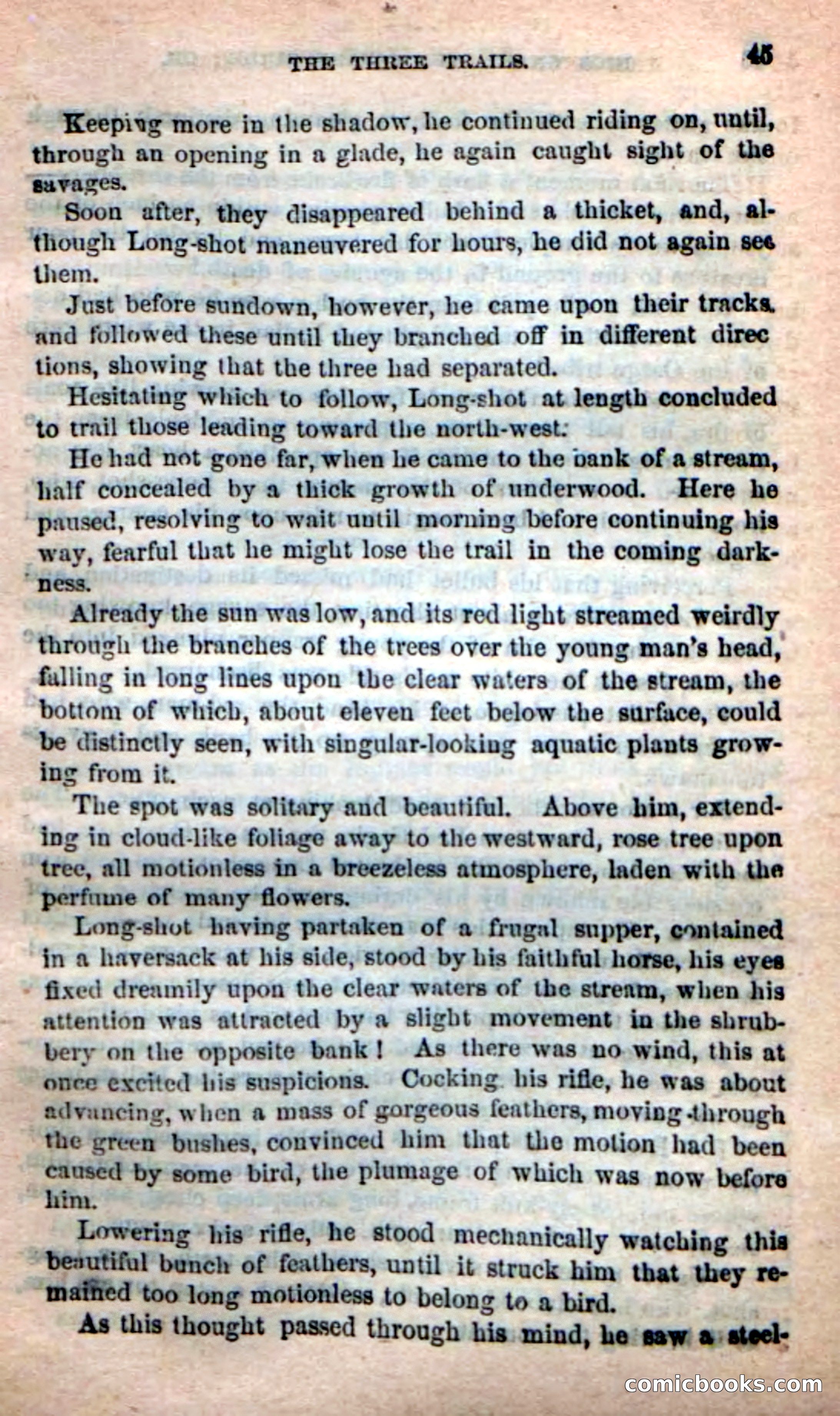 Beadle's Dime Novels: Long Shot — page 41 of 100