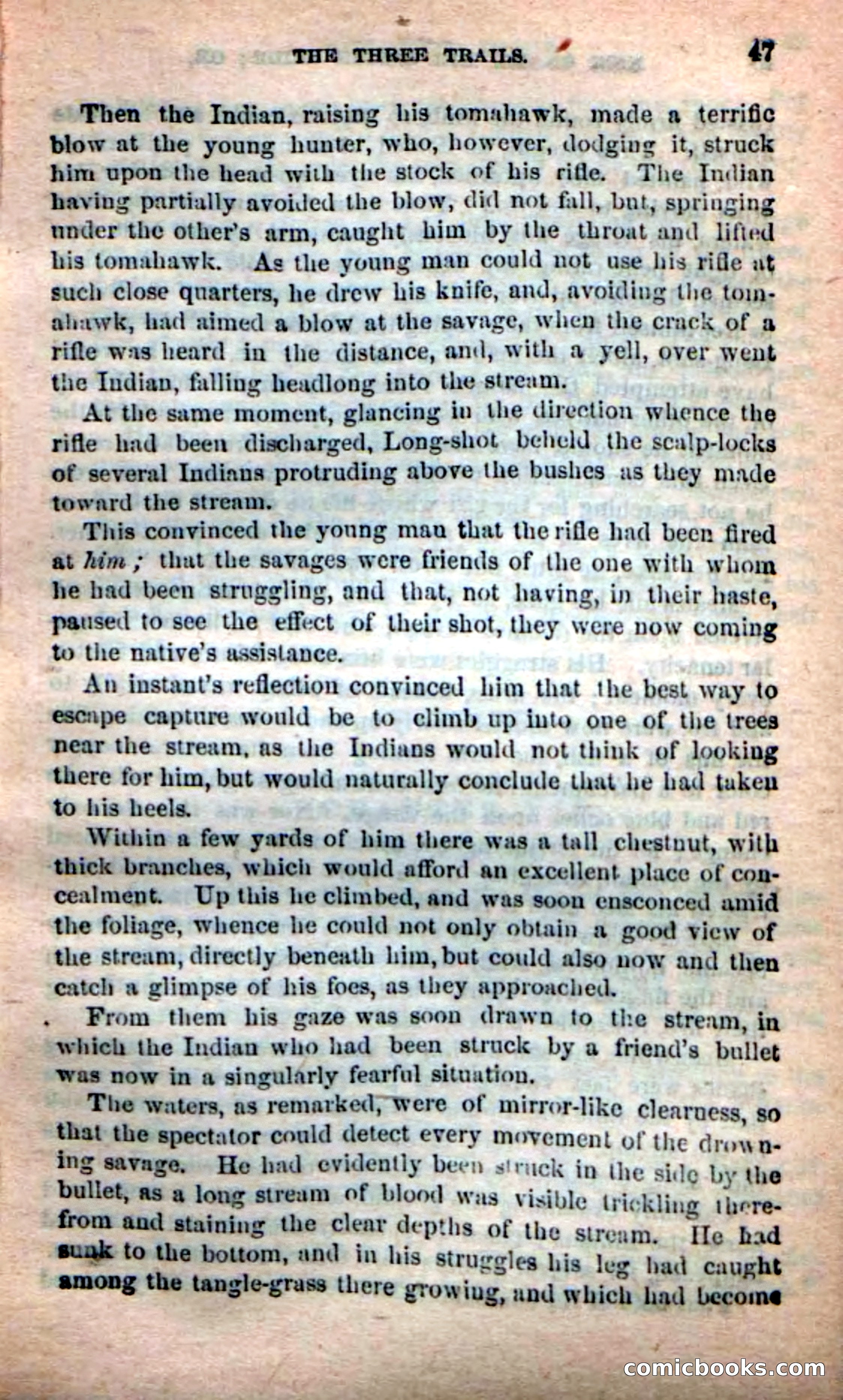 Beadle's Dime Novels: Long Shot — page 43 of 100