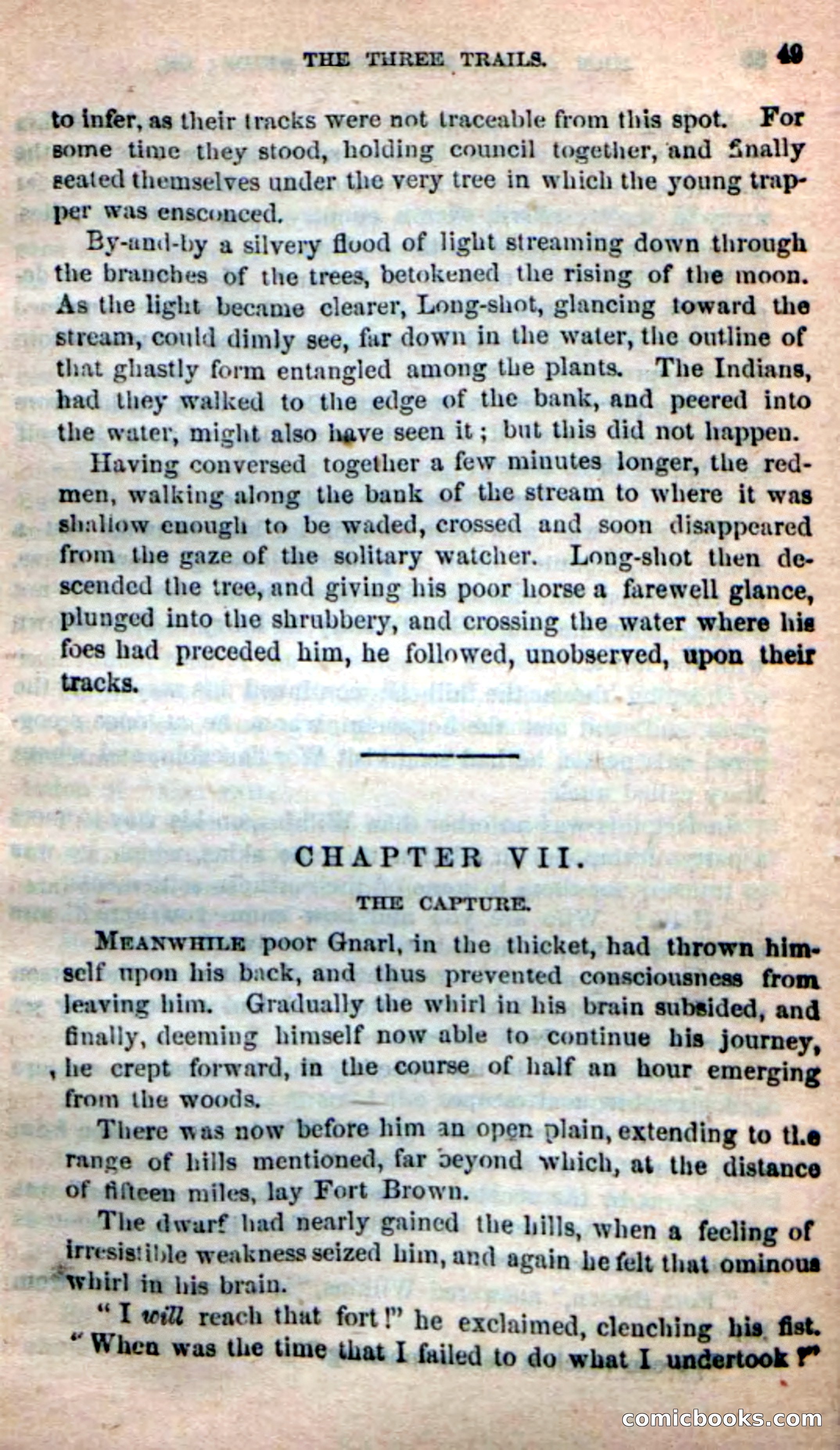 Beadle's Dime Novels: Long Shot — page 45 of 100