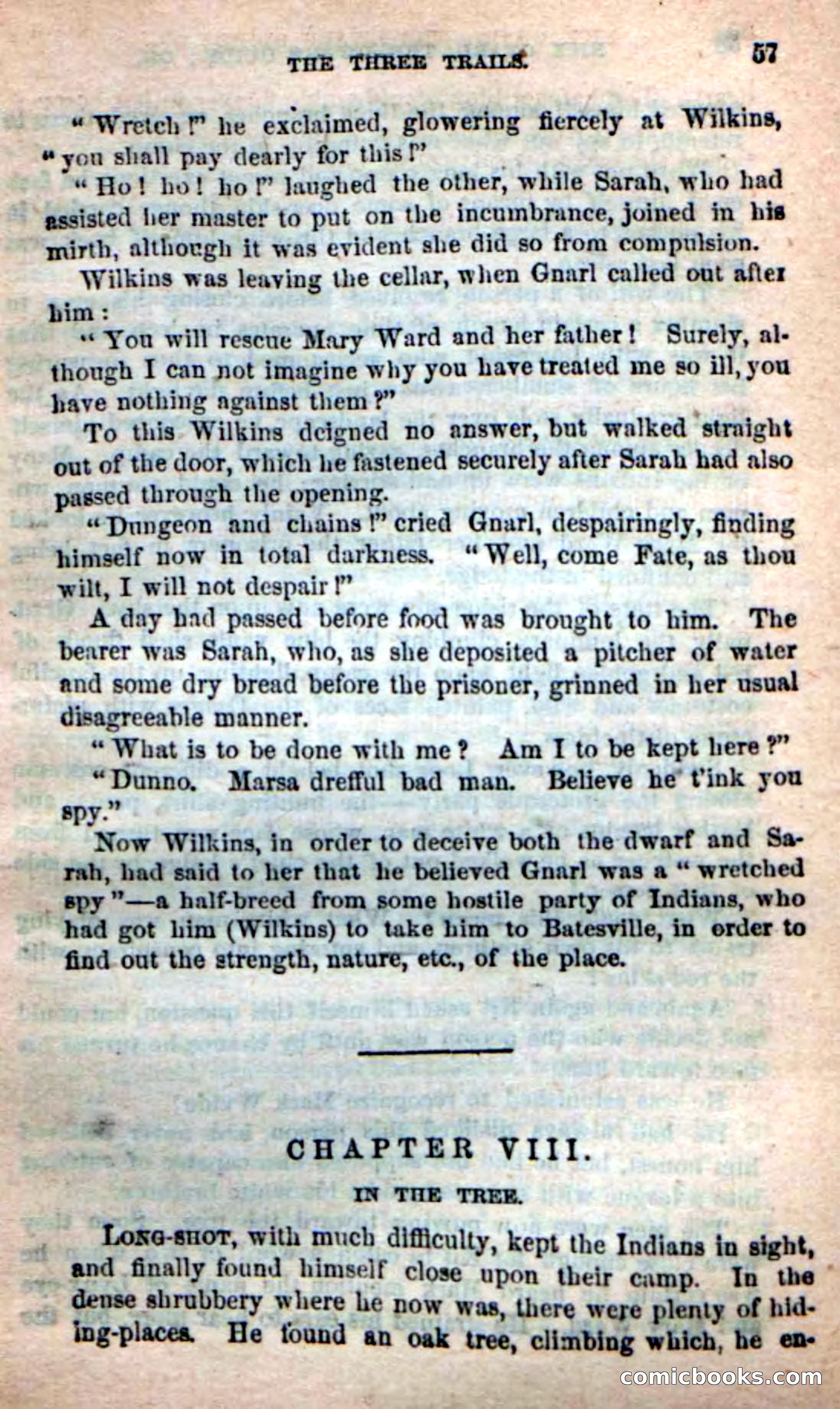 Beadle's Dime Novels: Long Shot — page 53 of 100