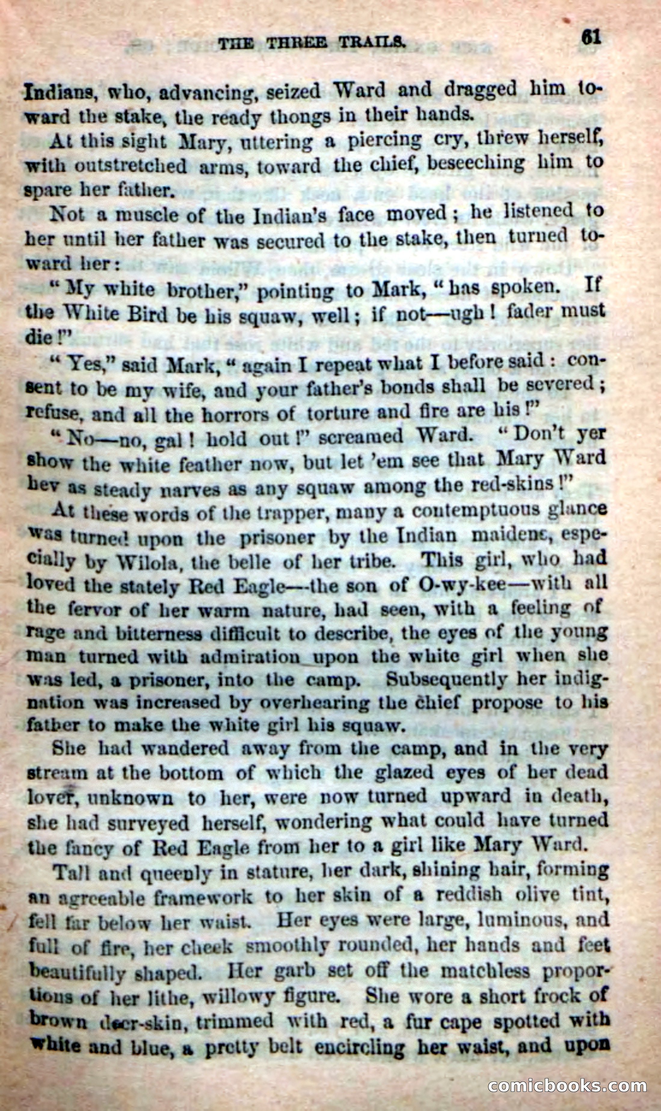 Beadle's Dime Novels: Long Shot — page 57 of 100