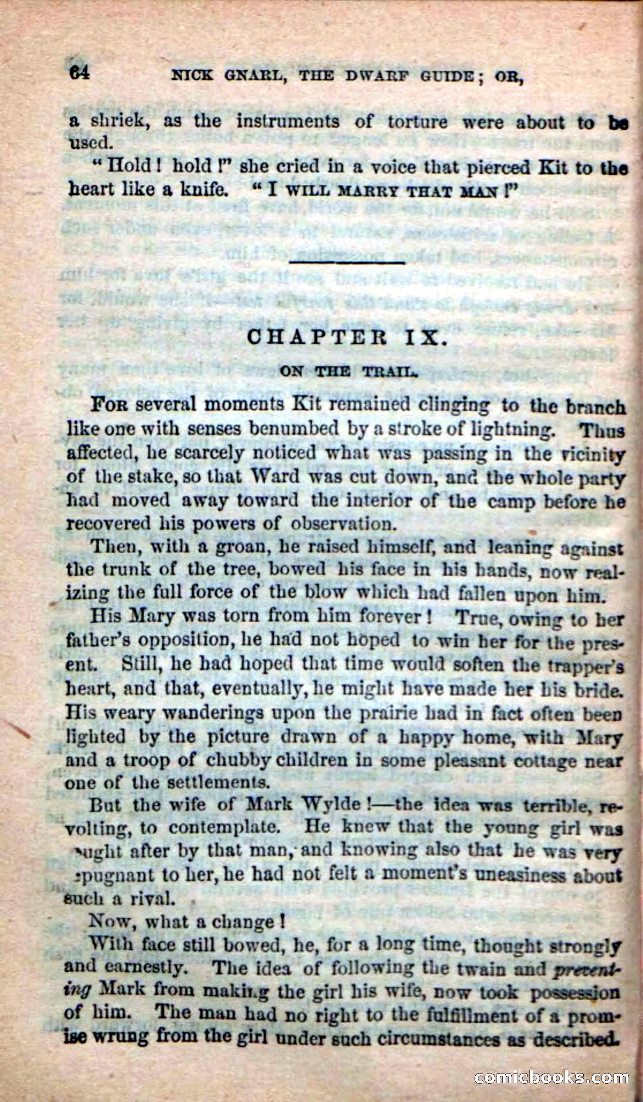 Beadle's Dime Novels: Long Shot — page 60 of 100