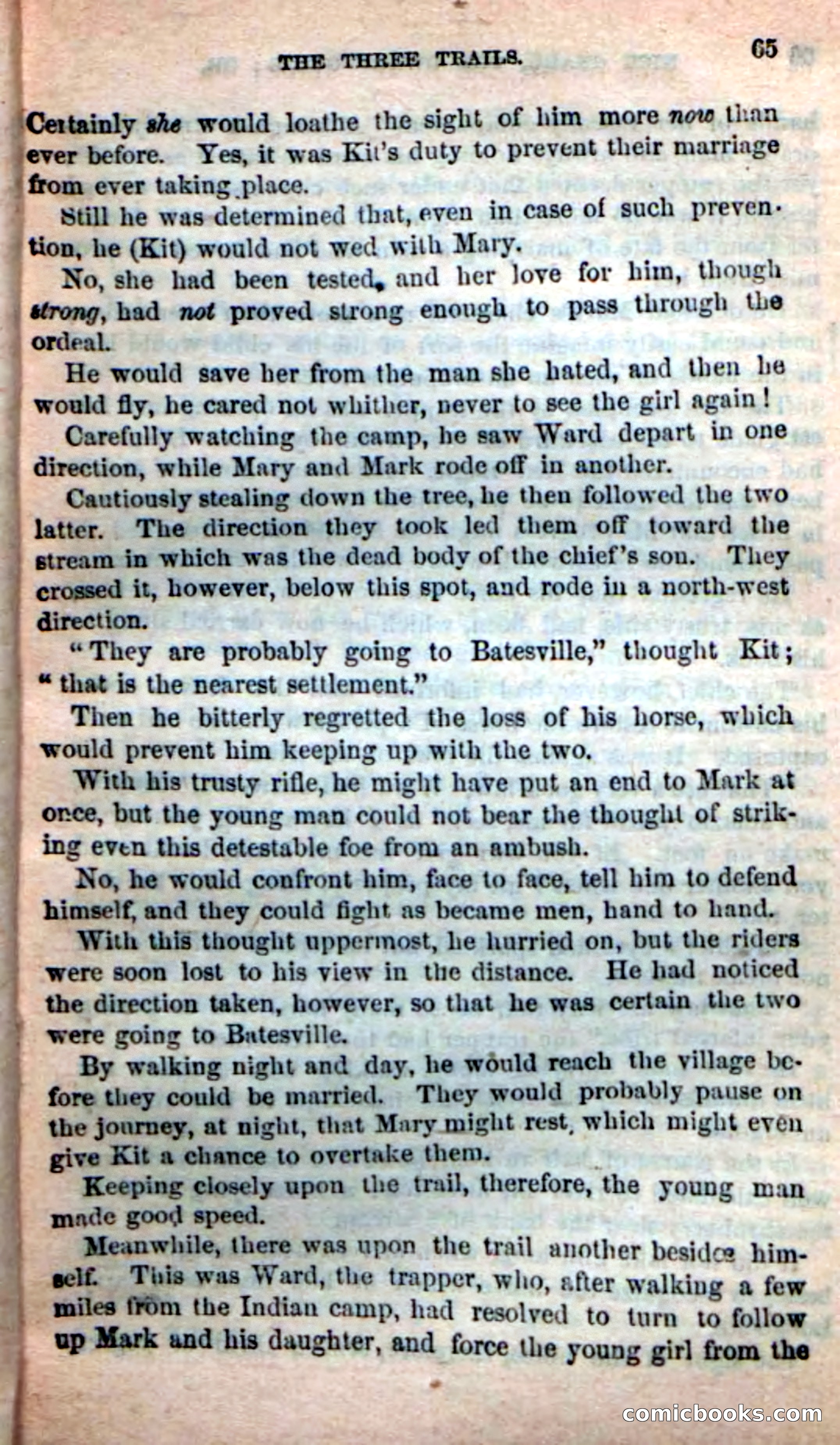 Beadle's Dime Novels: Long Shot — page 61 of 100