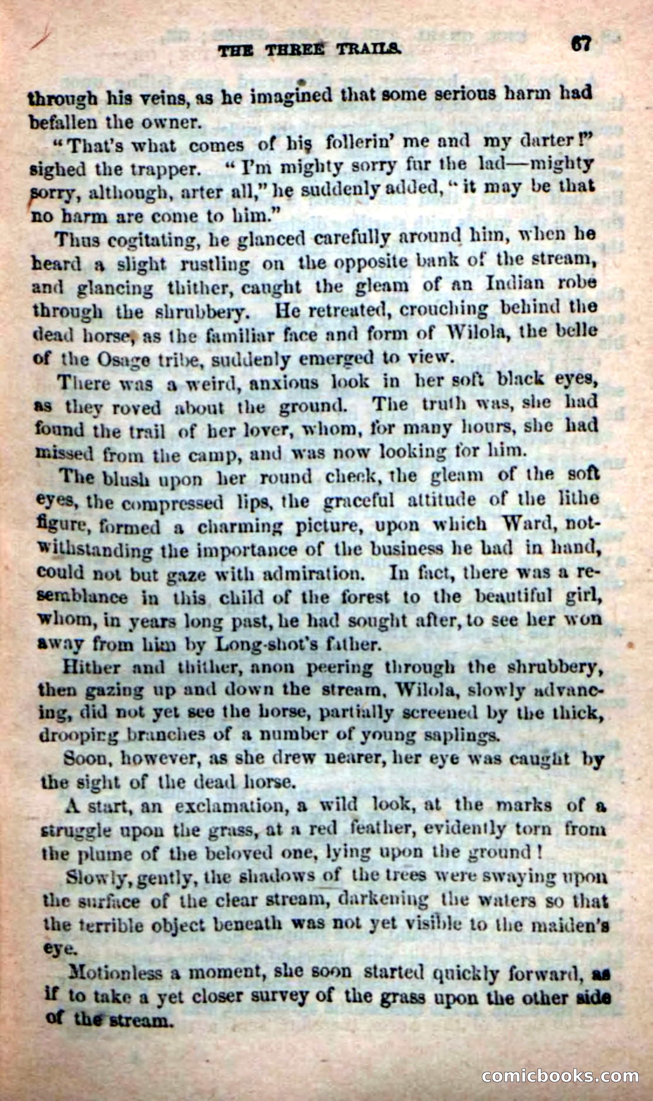 Beadle's Dime Novels: Long Shot — page 63 of 100