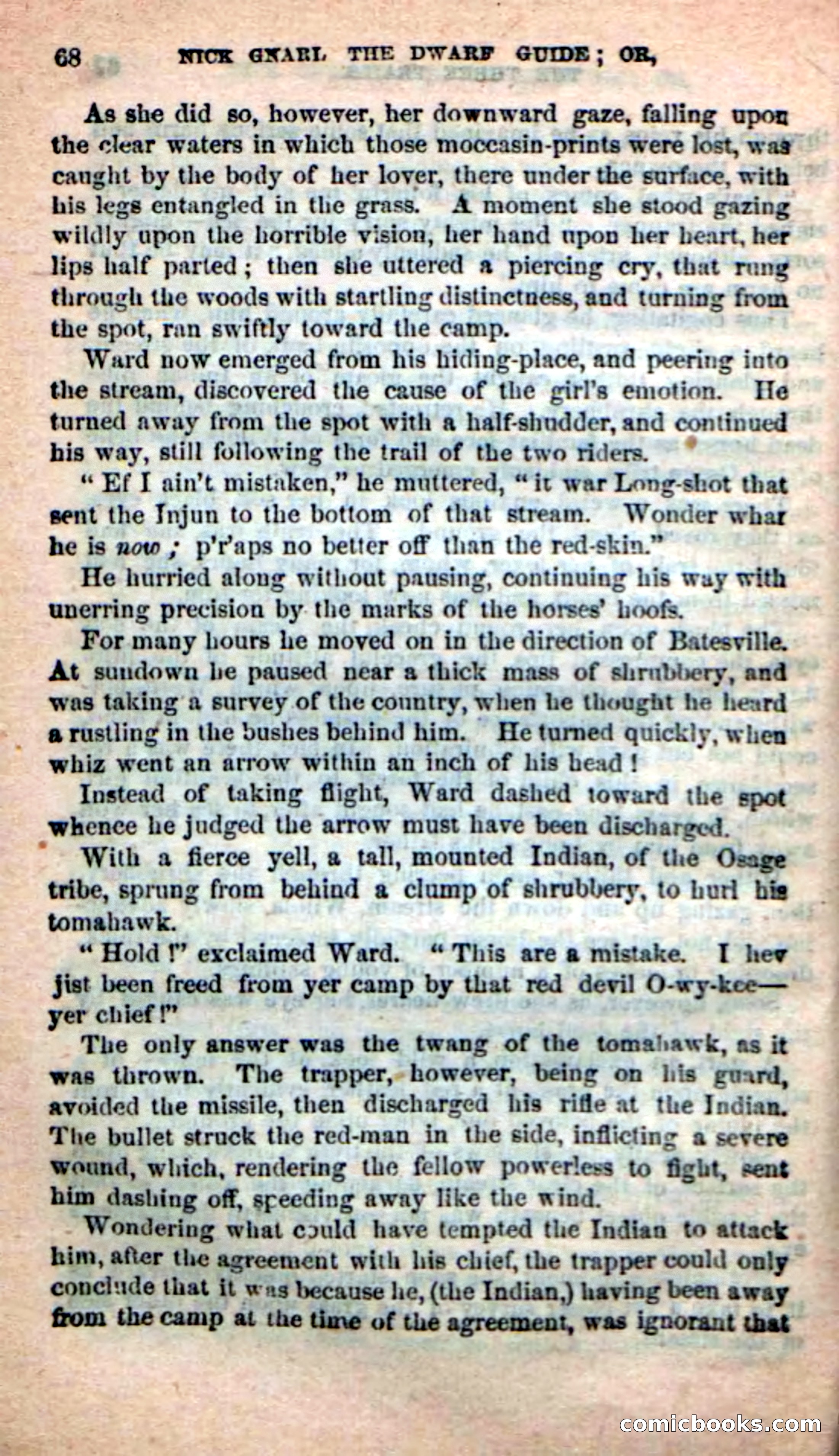 Beadle's Dime Novels: Long Shot — page 64 of 100