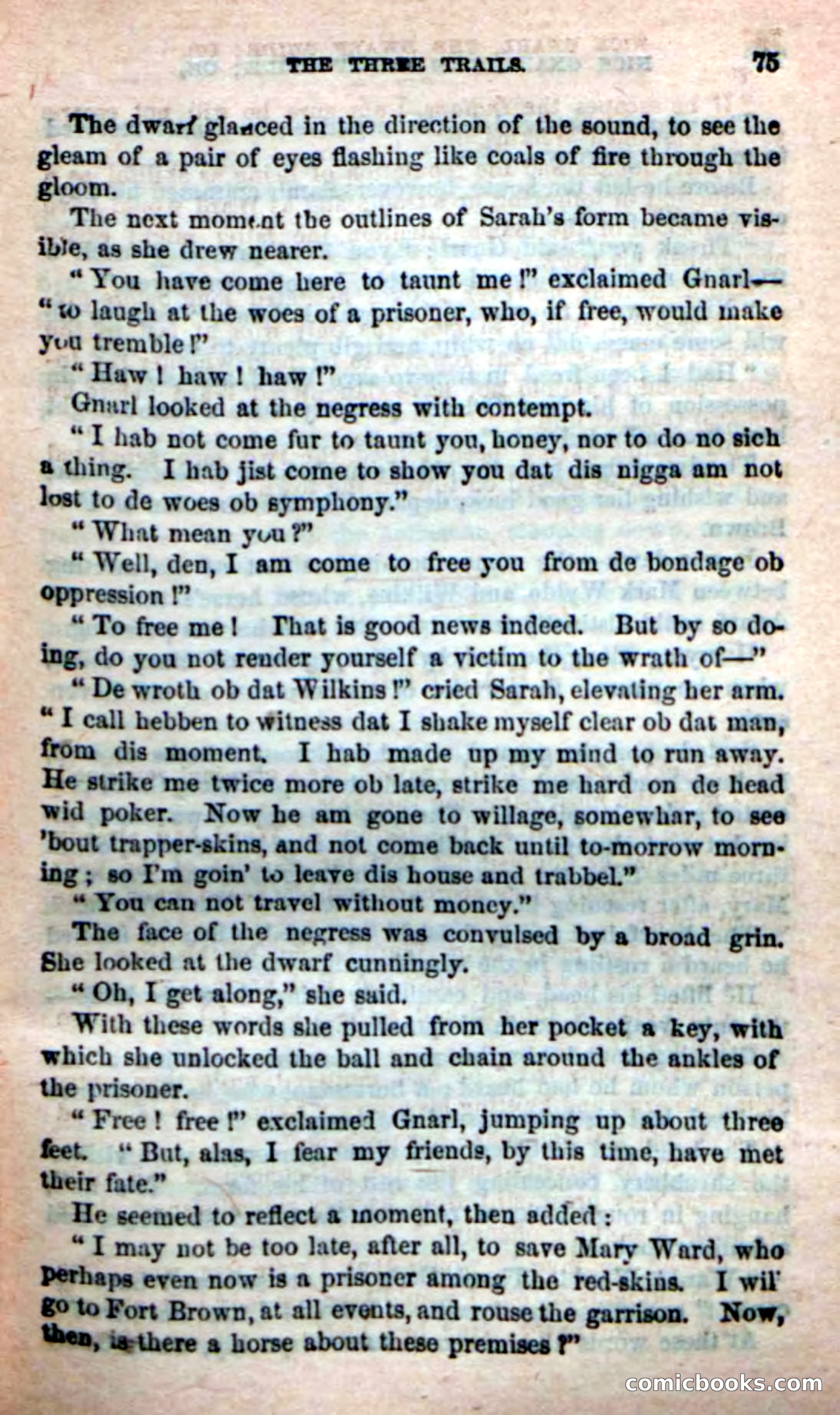 Beadle's Dime Novels: Long Shot — page 71 of 100