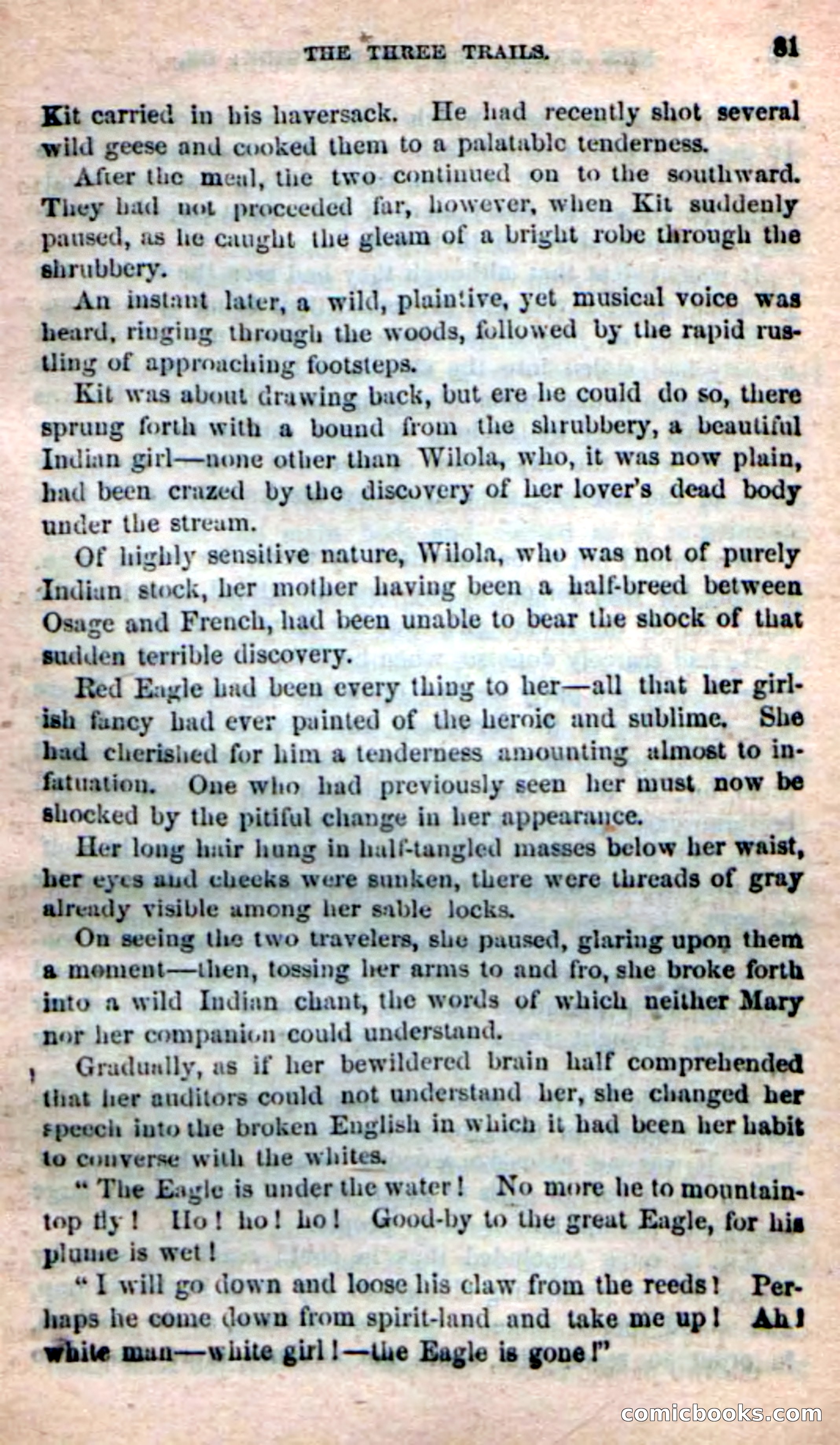 Beadle's Dime Novels: Long Shot — page 77 of 100