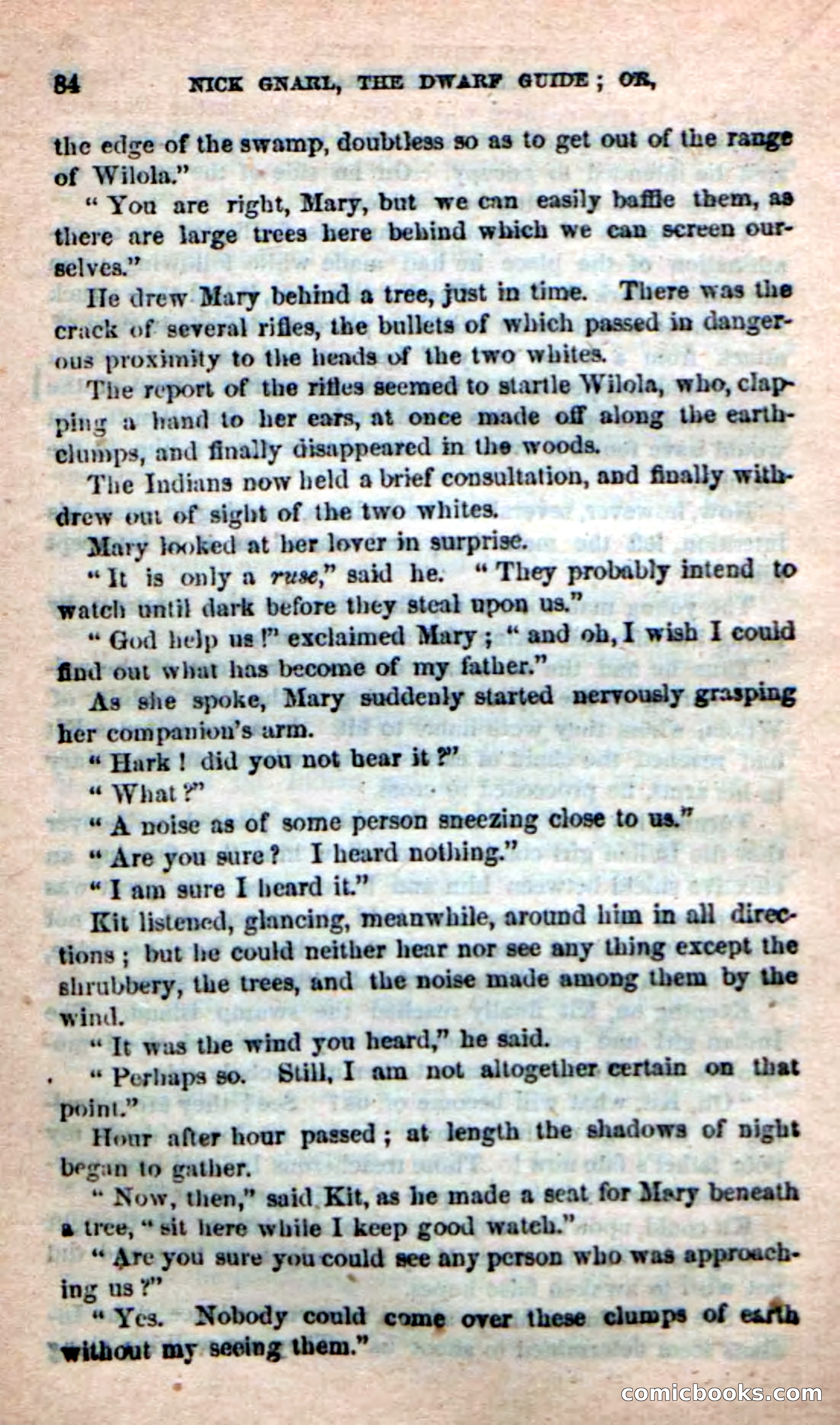 Beadle's Dime Novels: Long Shot — page 80 of 100