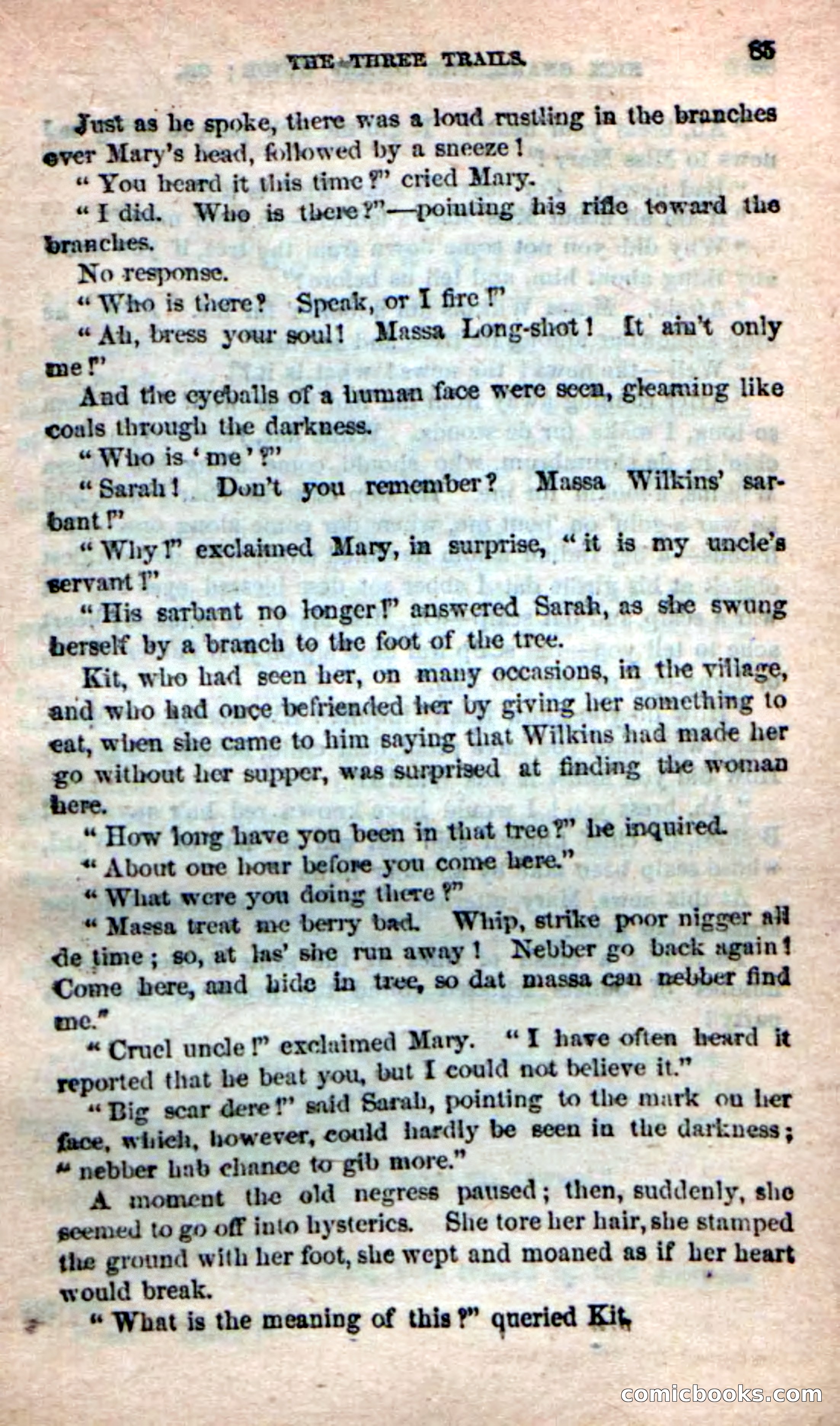 Beadle's Dime Novels: Long Shot — page 81 of 100