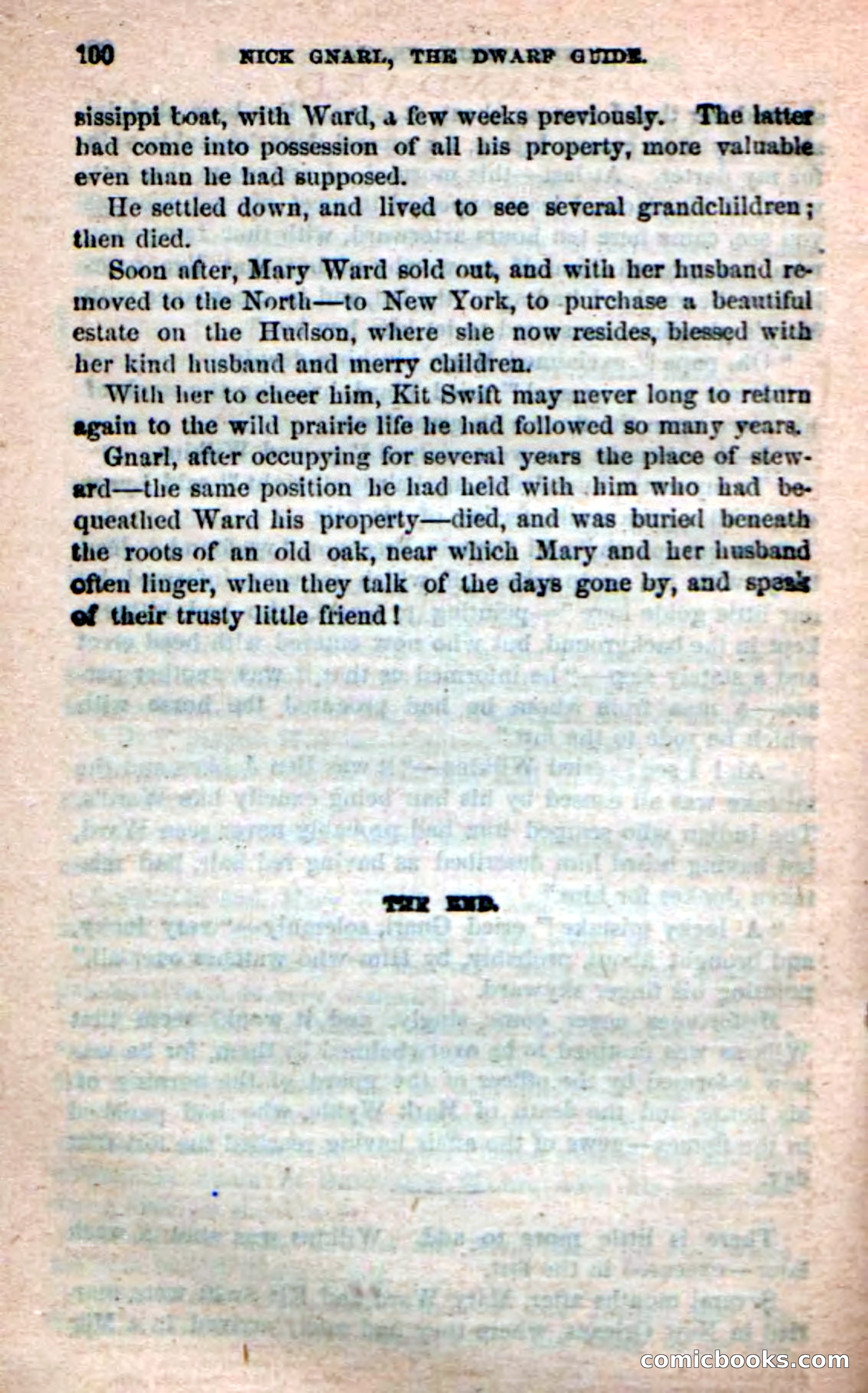 Beadle's Dime Novels: Long Shot — page 96 of 100