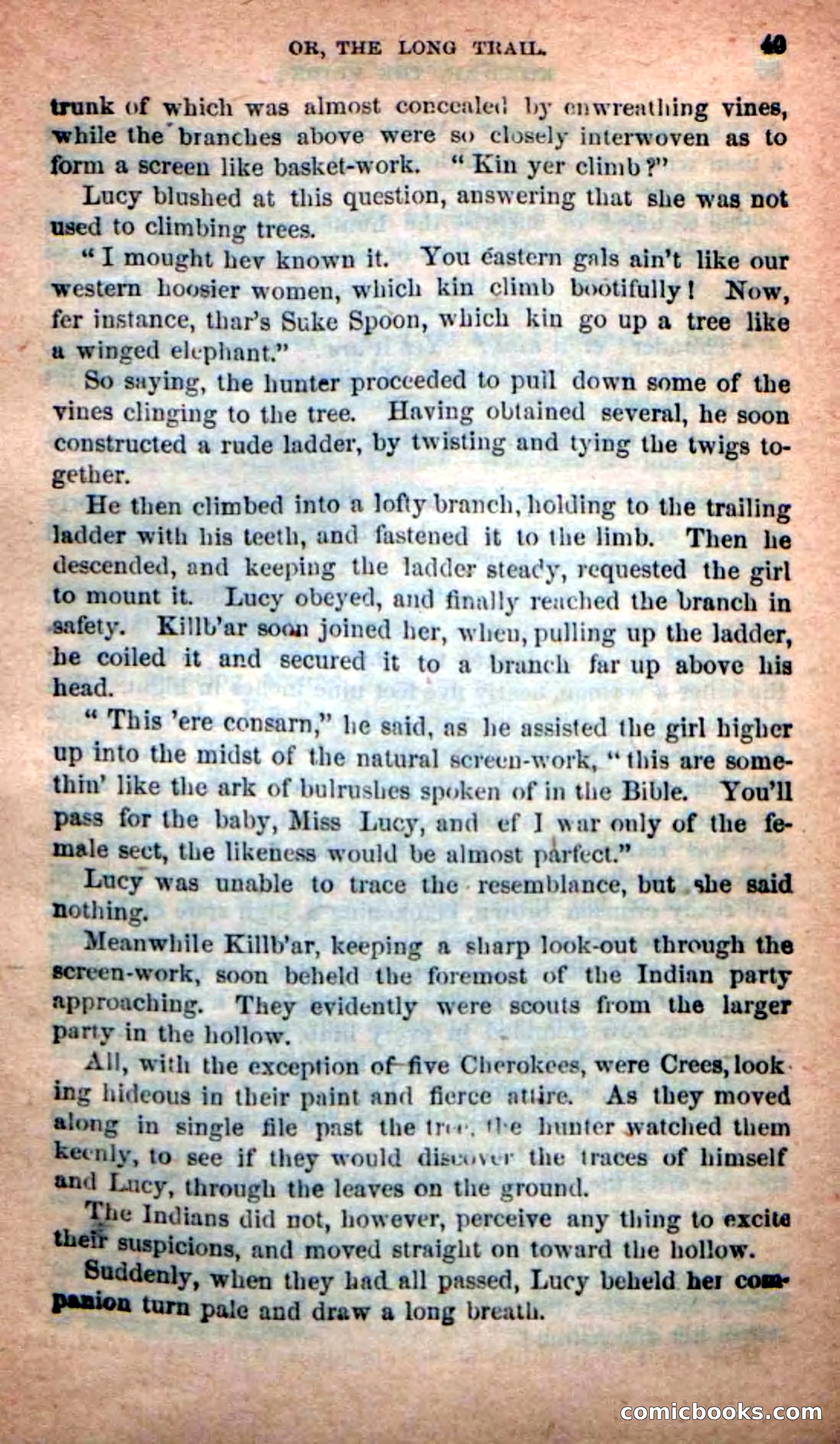 The B'ar Killer — page 45 of 100