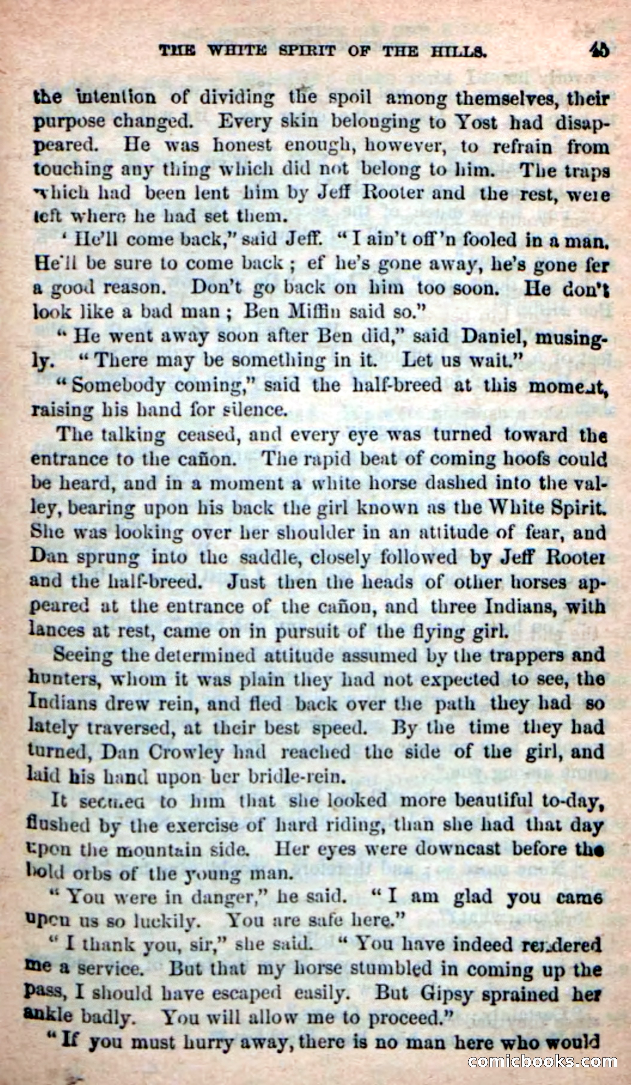 Beadle's New Dime Novels: Indian Joe, the Guide — page 41 of 100