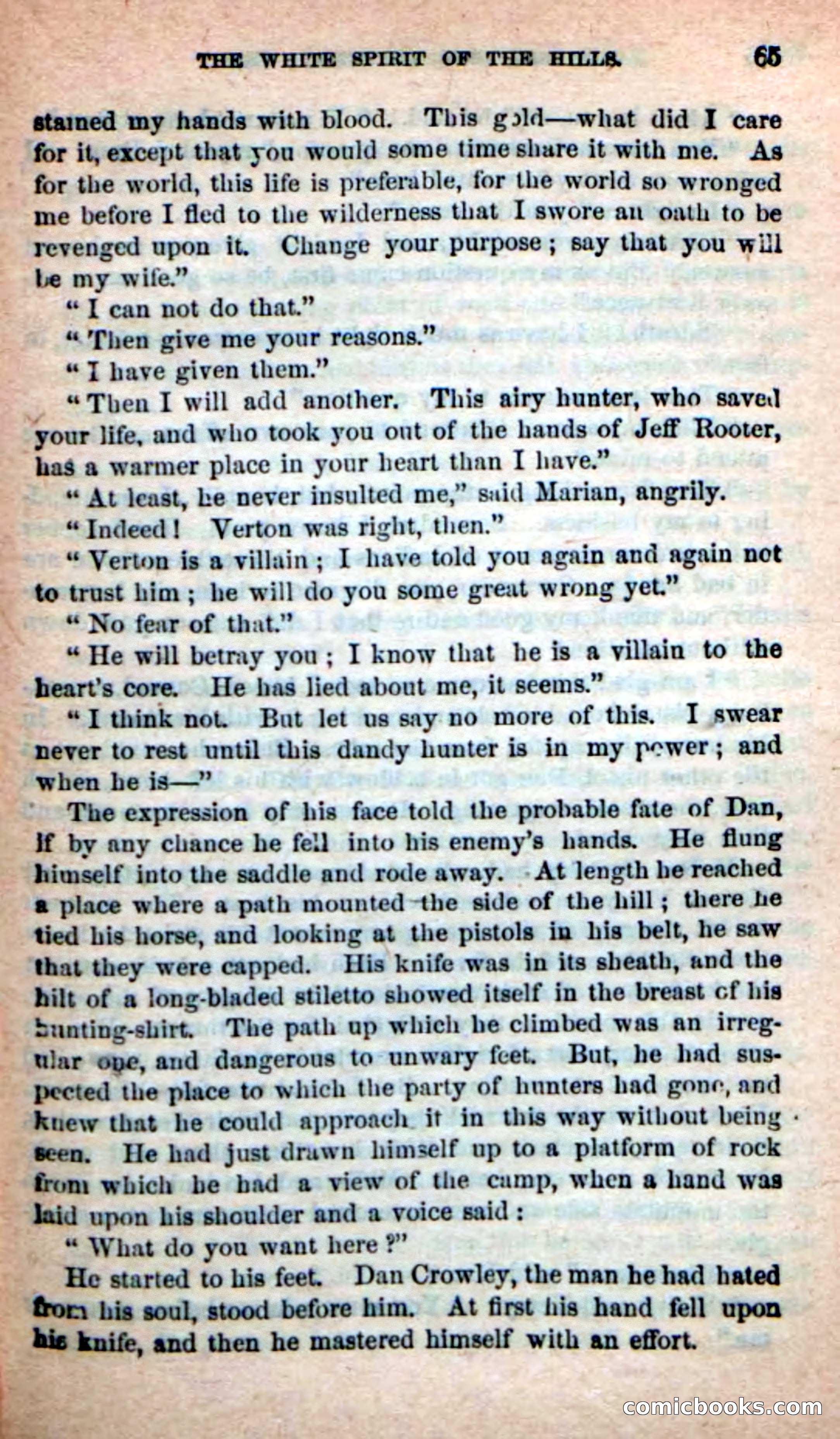 Beadle's New Dime Novels: Indian Joe, the Guide — page 61 of 100
