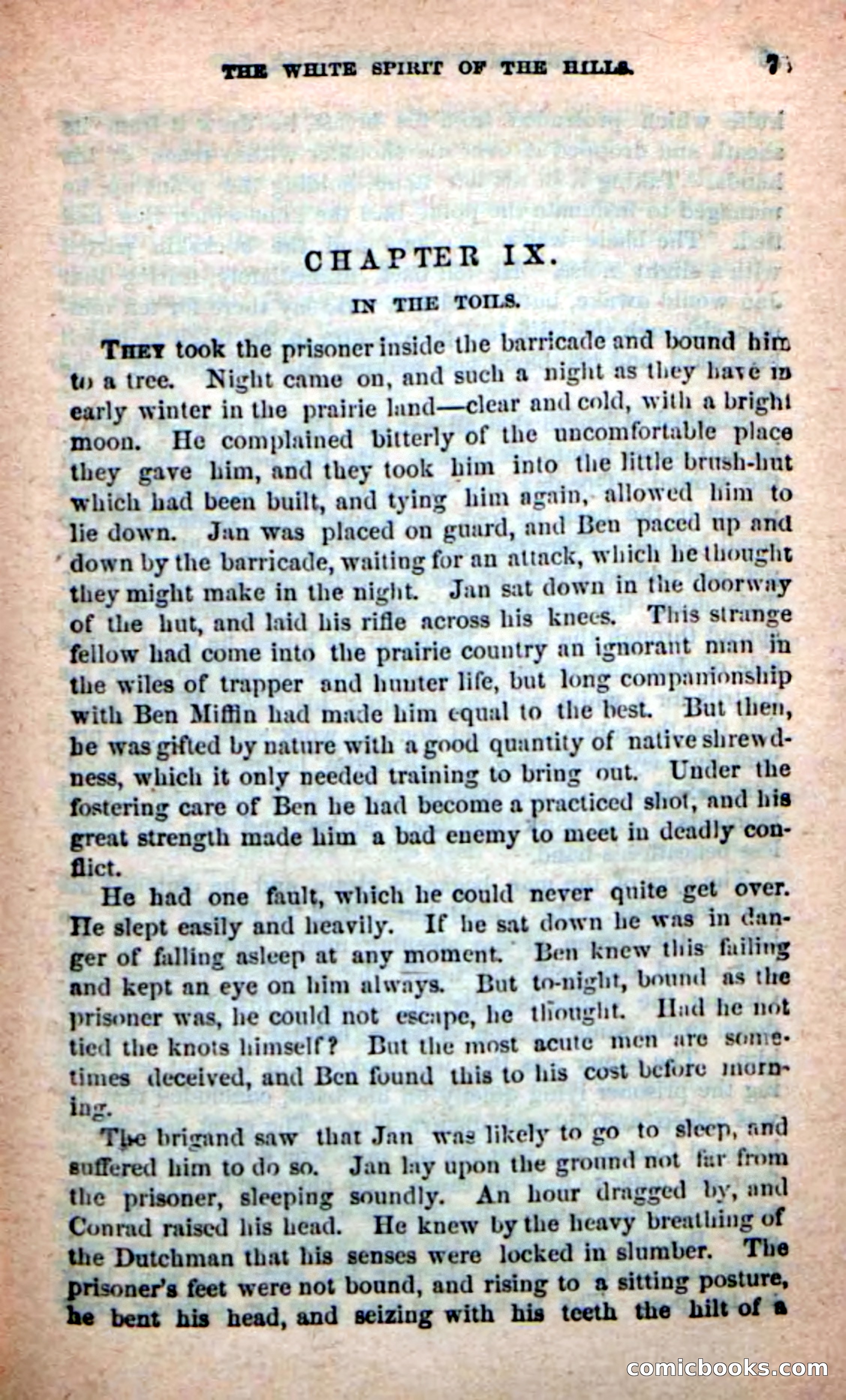 Beadle's New Dime Novels: Indian Joe, the Guide — page 71 of 100