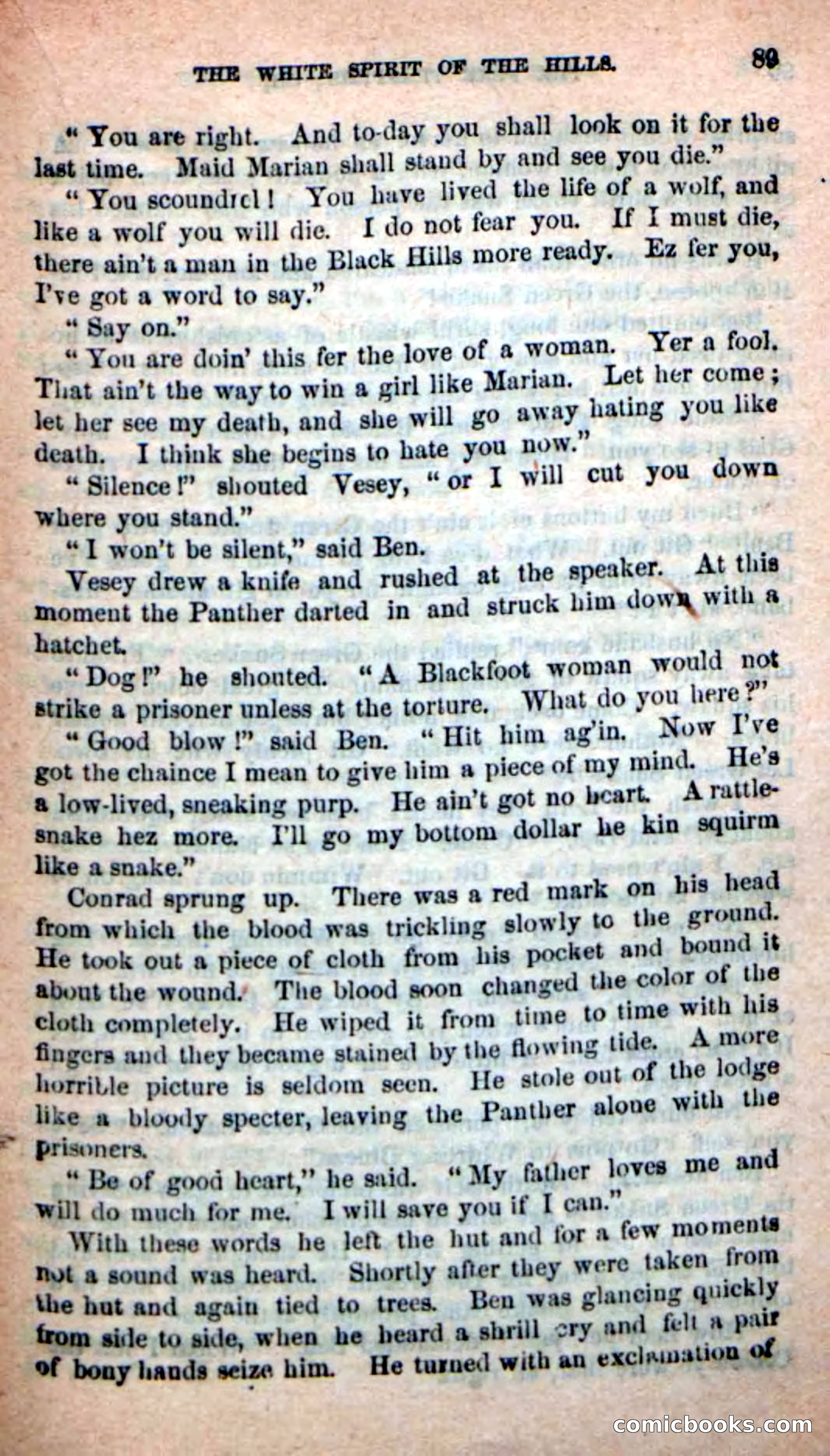Beadle's New Dime Novels: Indian Joe, the Guide — page 85 of 100