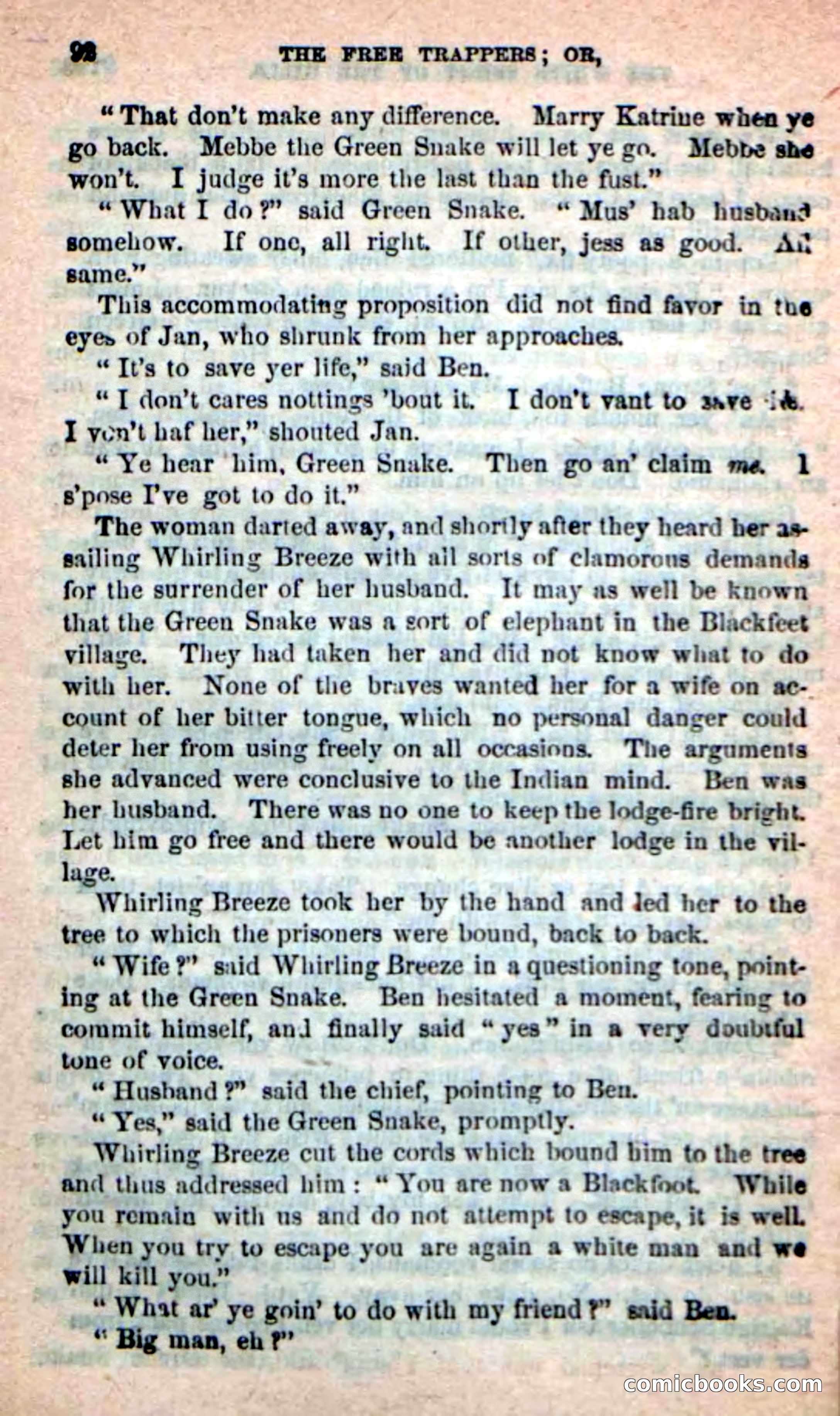 Beadle's New Dime Novels: Indian Joe, the Guide — page 88 of 100
