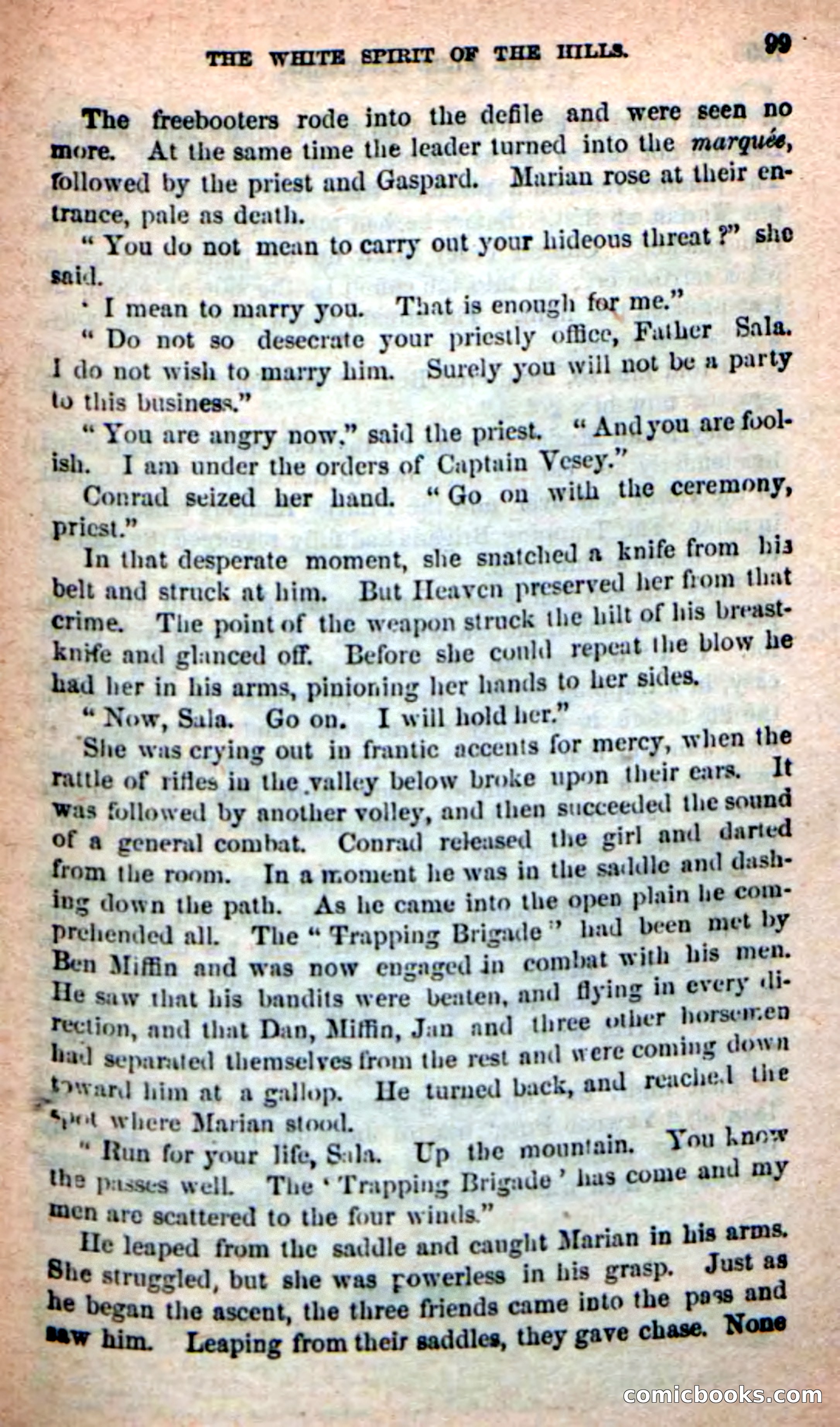 Beadle's New Dime Novels: Indian Joe, the Guide — page 95 of 100