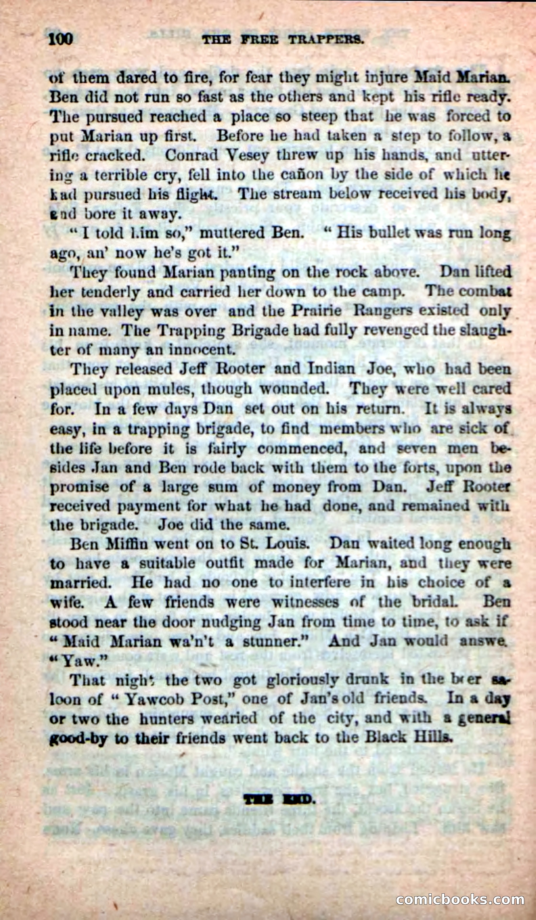 Beadle's New Dime Novels: Indian Joe, the Guide — page 96 of 100