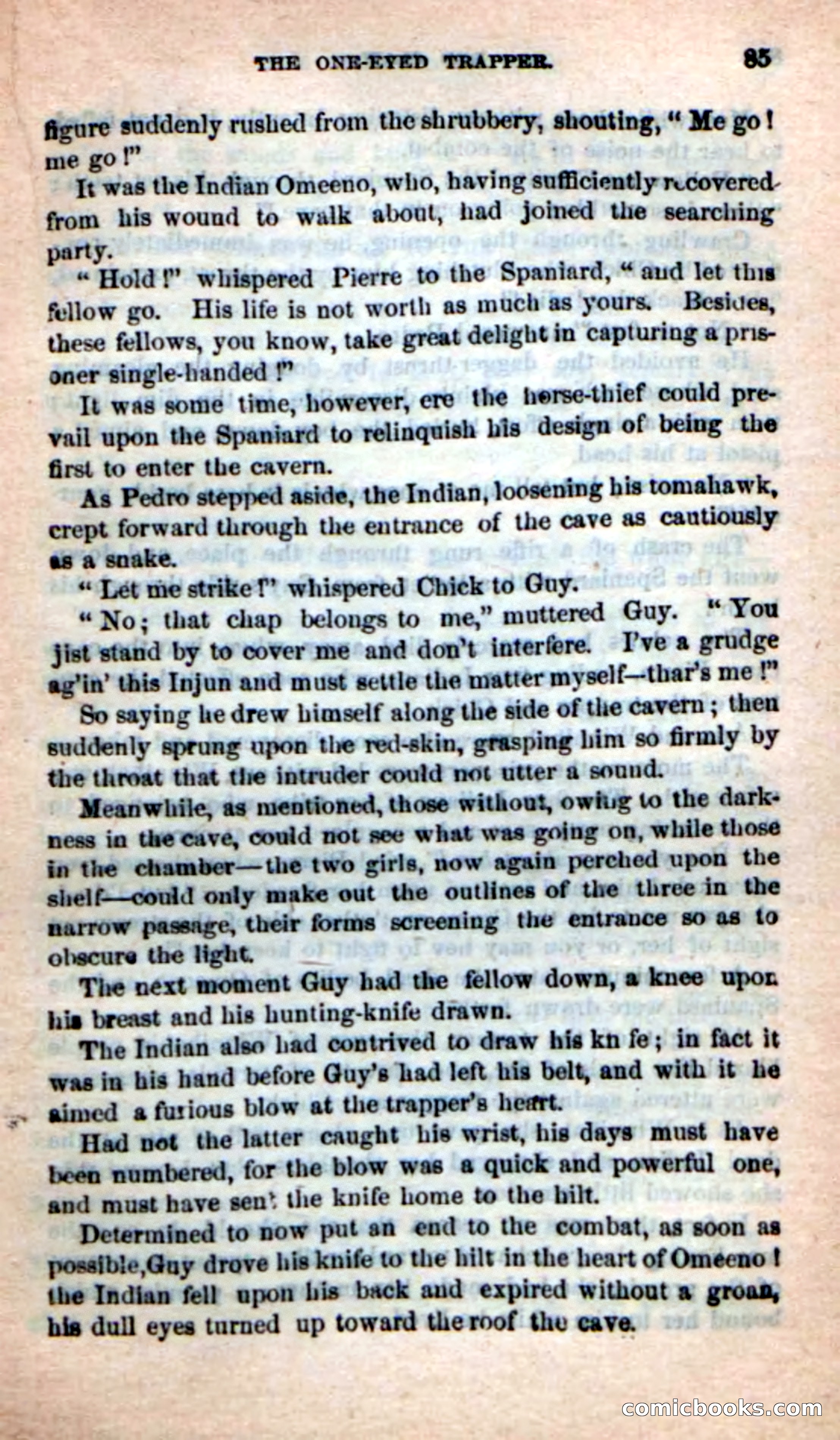 The One-Eyed Trapper — page 81 of 100