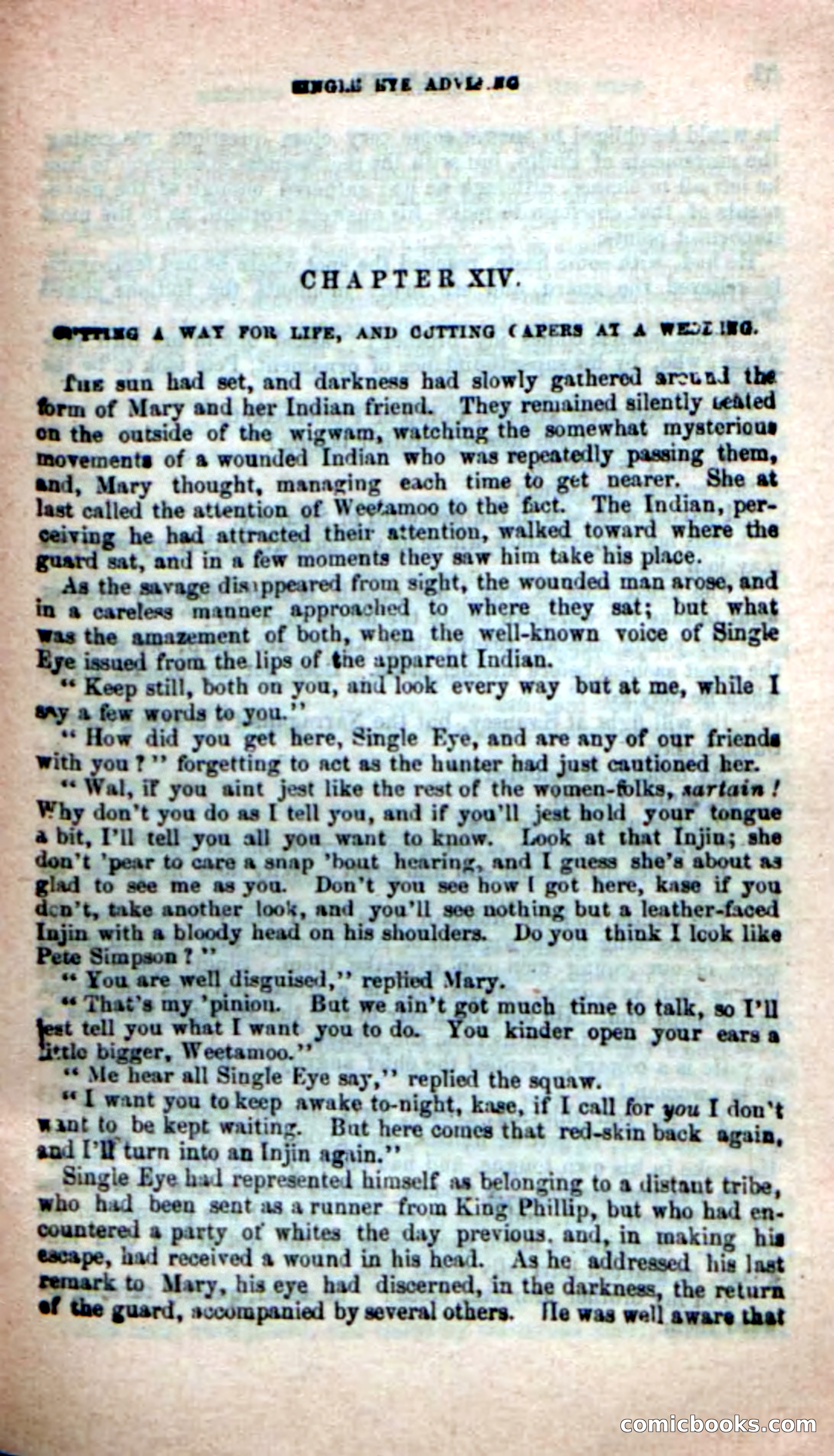 Beadle's New Dime Novels: Single Eye, the Scourge — page 87 of 100