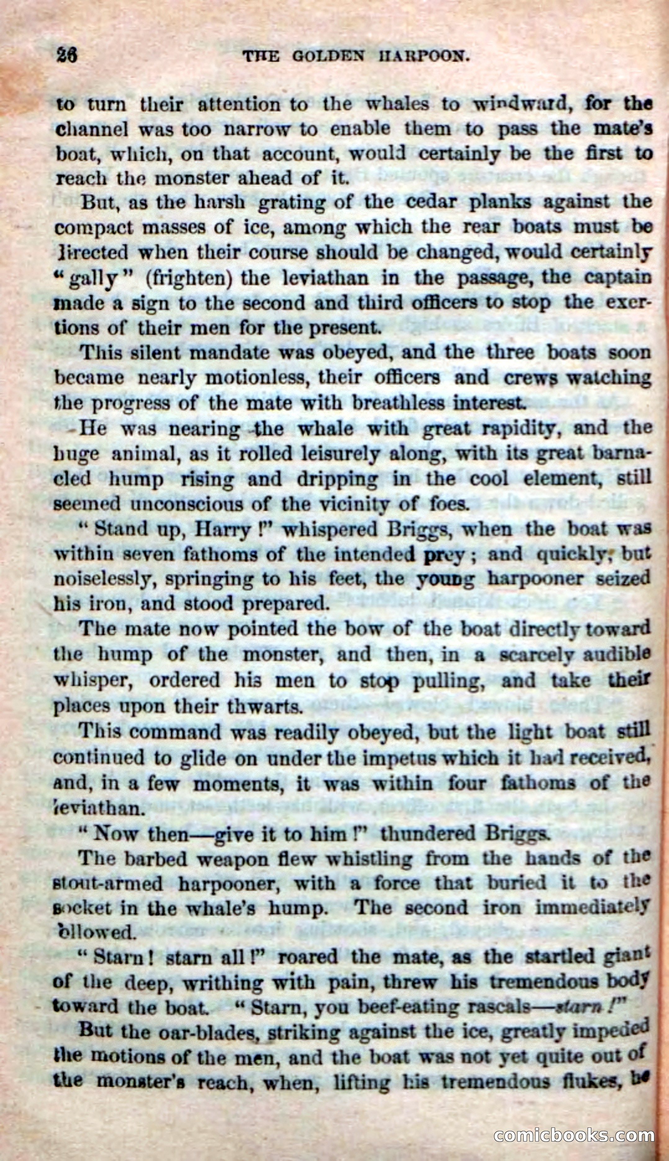 The Golden Harpoon — page 22 of 100